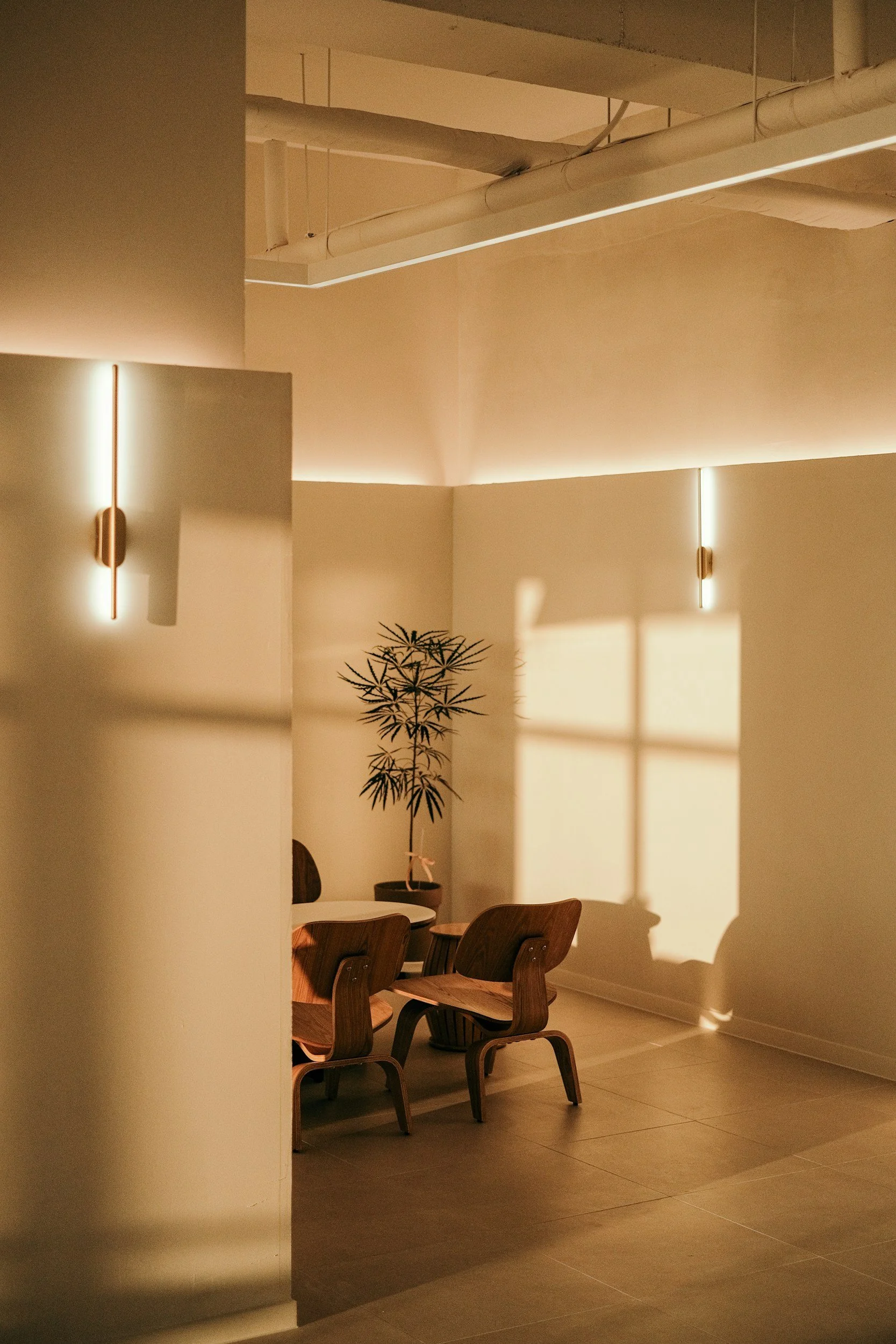 Interior of a modern room with warm lighting, featuring a wooden table with chairs, a potted plant, and wall-mounted lights, with shadows cast on the wall.
