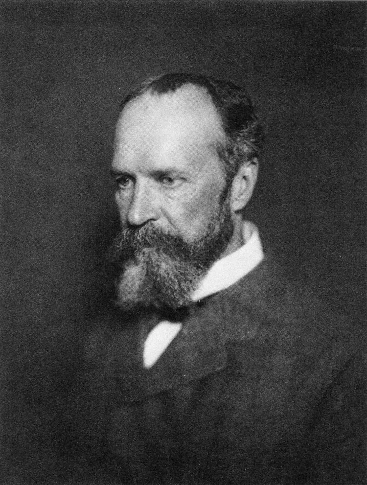 Nineteenth-century photographic portrait of psychologist William James.