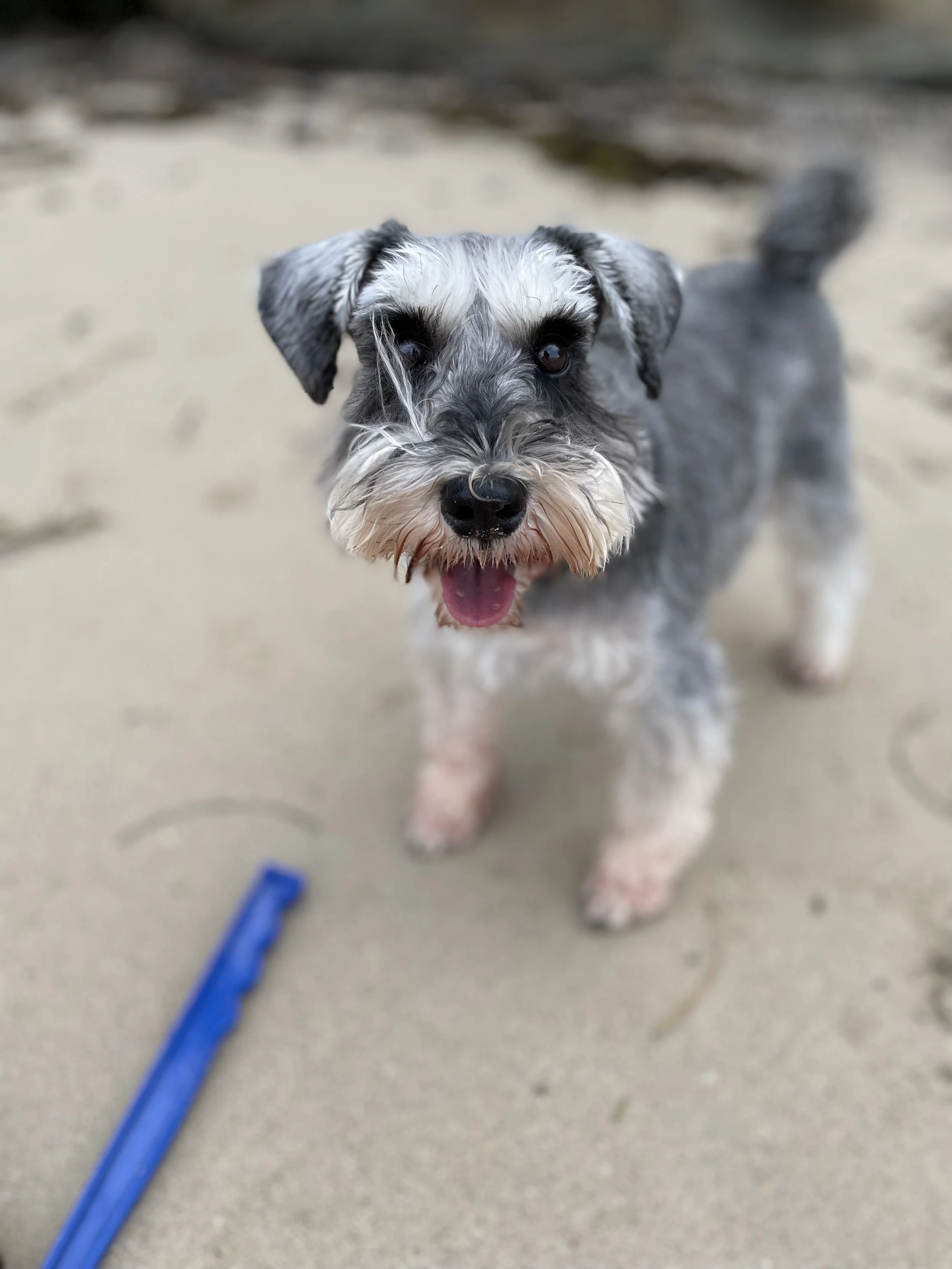 Solo Adventure Day Out