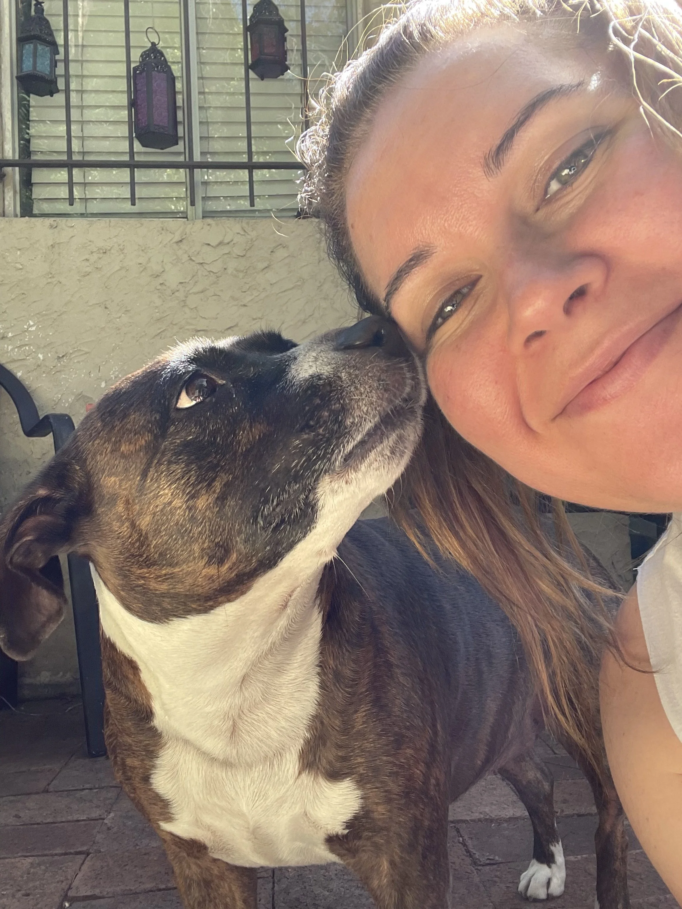 A woman with long reddish-brown hair and a tan complexion leaning her face against a large brown and white dog, possibly a pitbull, on a patio with a fence and hanging lanterns in the background.