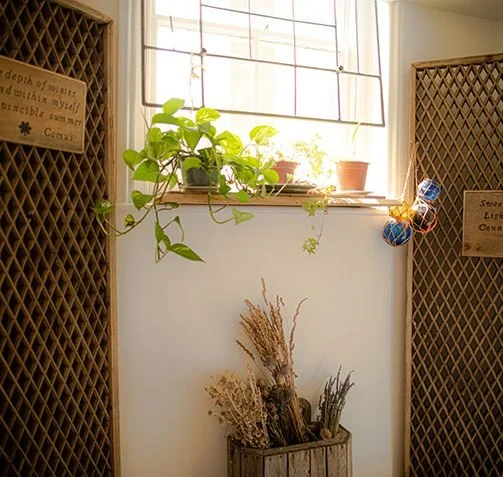 Indoor scene with potted plants on a windowsill, hanging plant, and dried plants in a wooden box, flanked by wooden room dividers with signs.