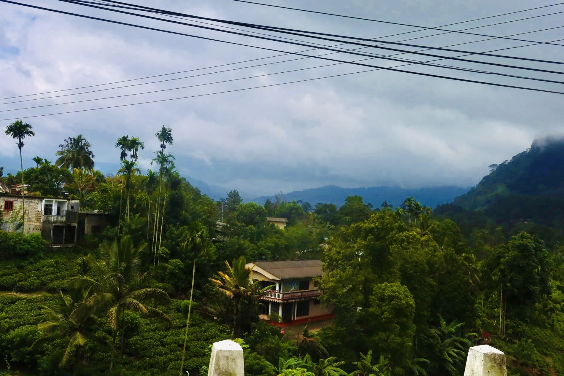 20260824_165820_5D1BF5.JPEG