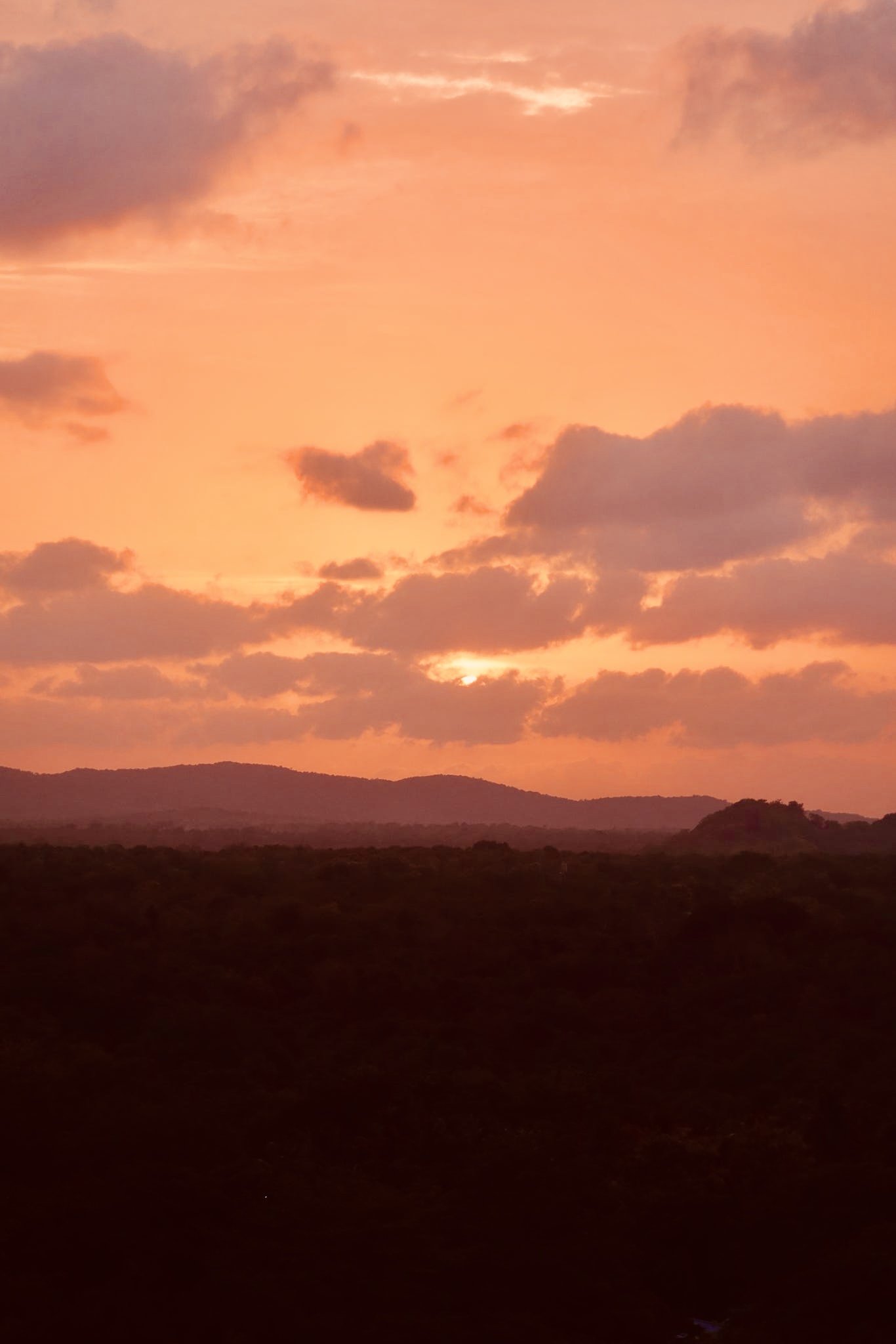 20260821_122200_5F514A.JPEG