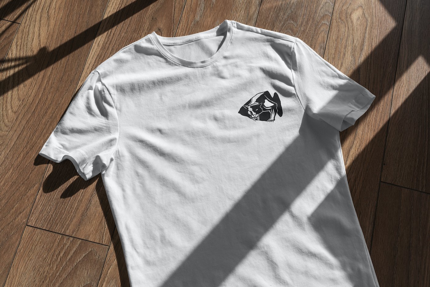 t-shirt flat lay 4.jpg