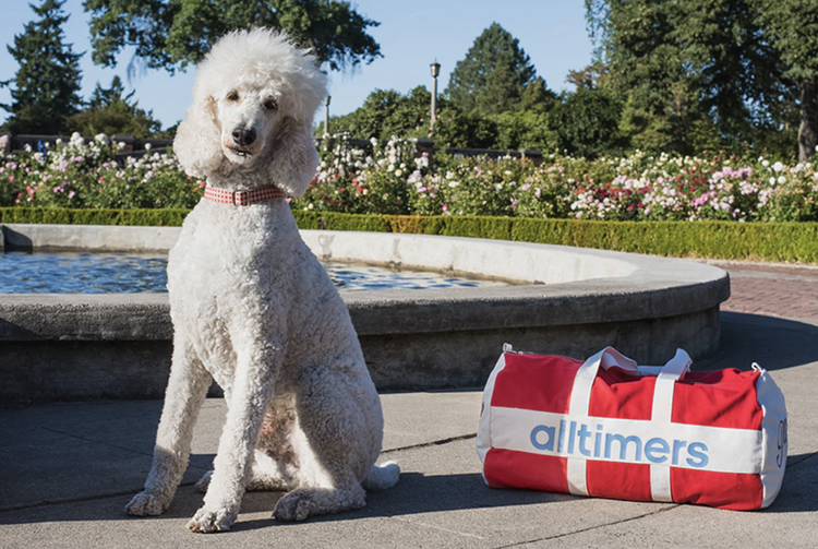 White poodle dog sitting next to a red and white duffel bag with the 'altimers' logo, in a park with a fountain and flower bed in the background.