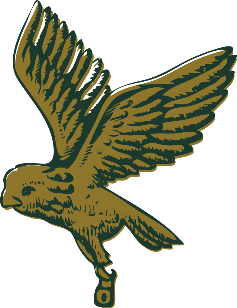 vault_owl