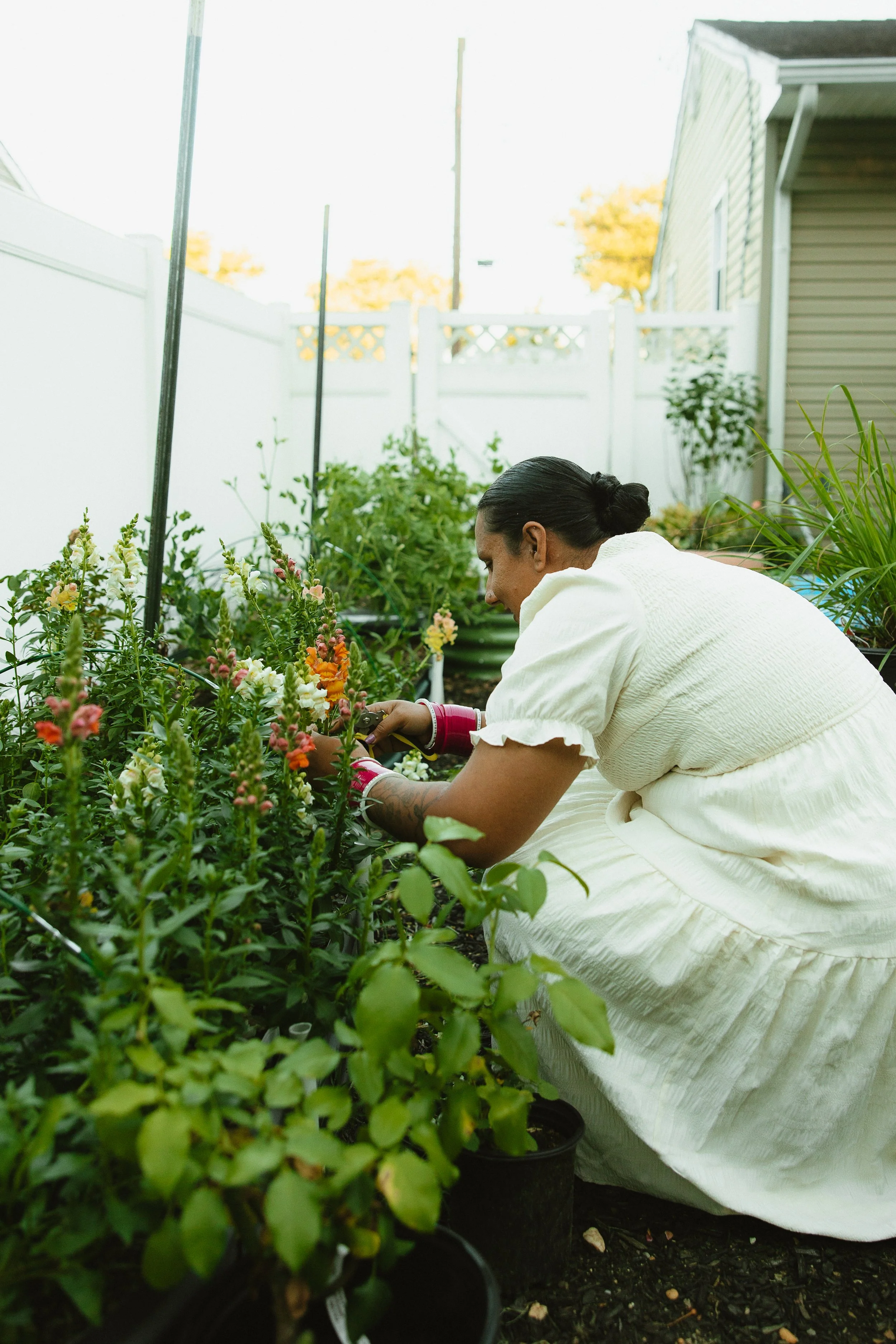 A woman in a white dress crouches down and tends to a cut flower garden with snapdragons and roses for weddings
