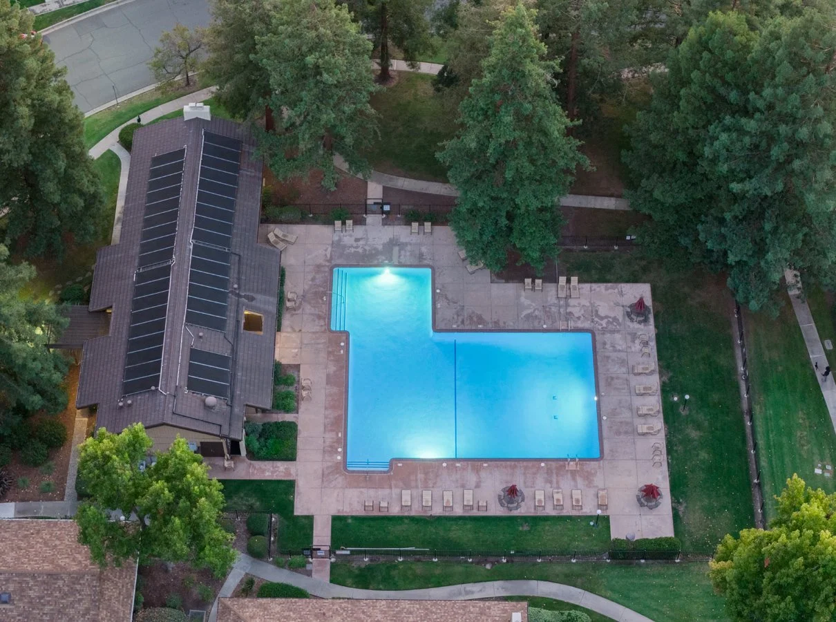 An aerial view of a backyard swimming pool surrounded by trees and a residential building with solar panels on the roof.