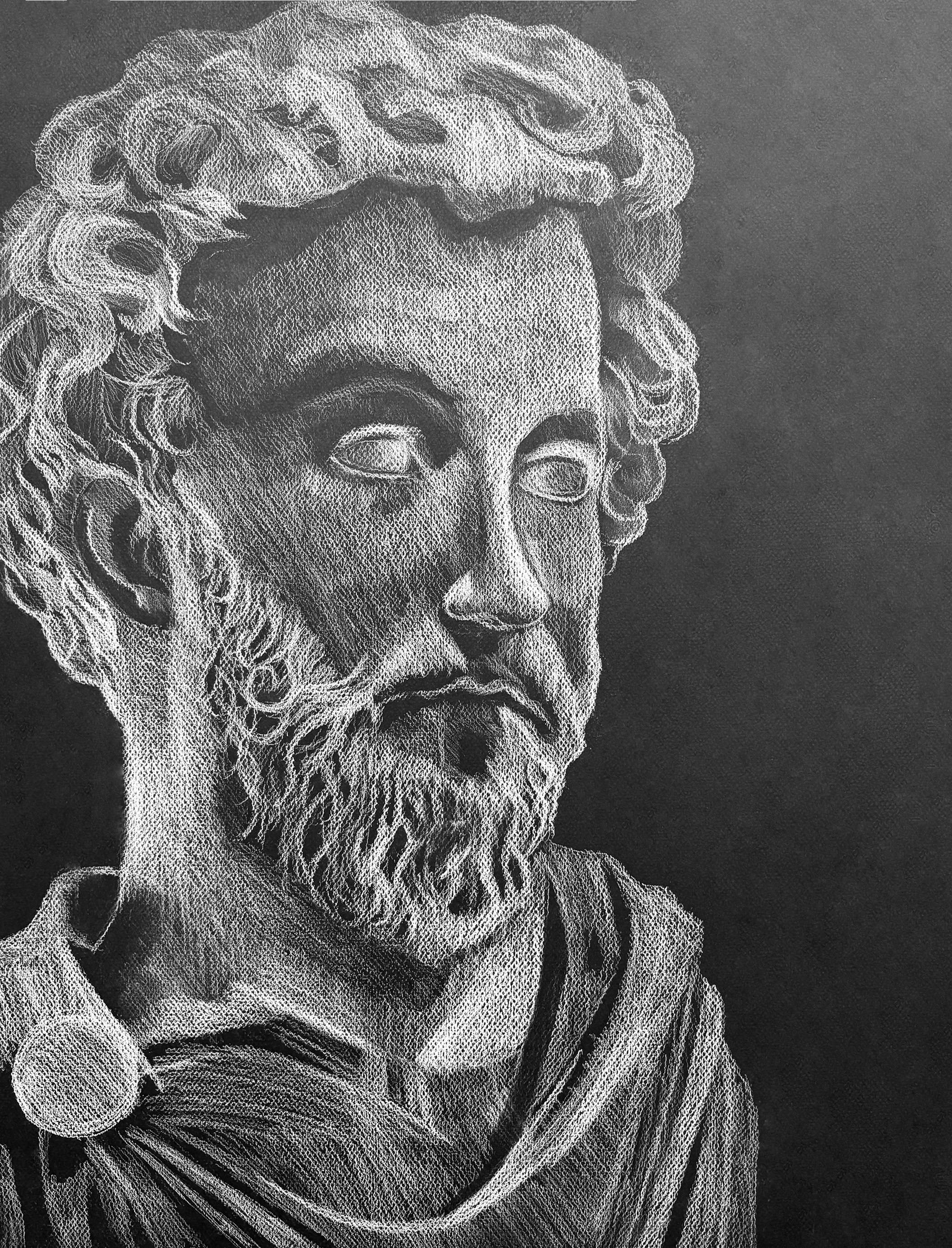 Homer, 18x24"
conte on paper