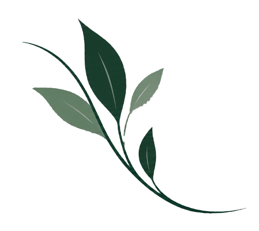 Decorative green leafy branch framing the left side of a transparent rectangular design element