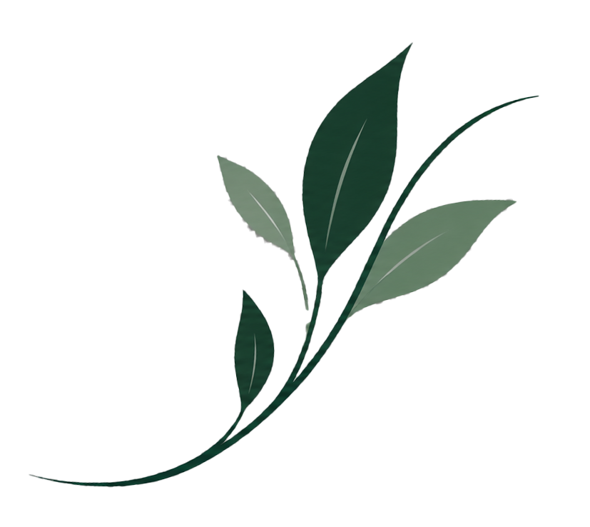 Stylized green leafy branch with multiple leaves on a transparent background