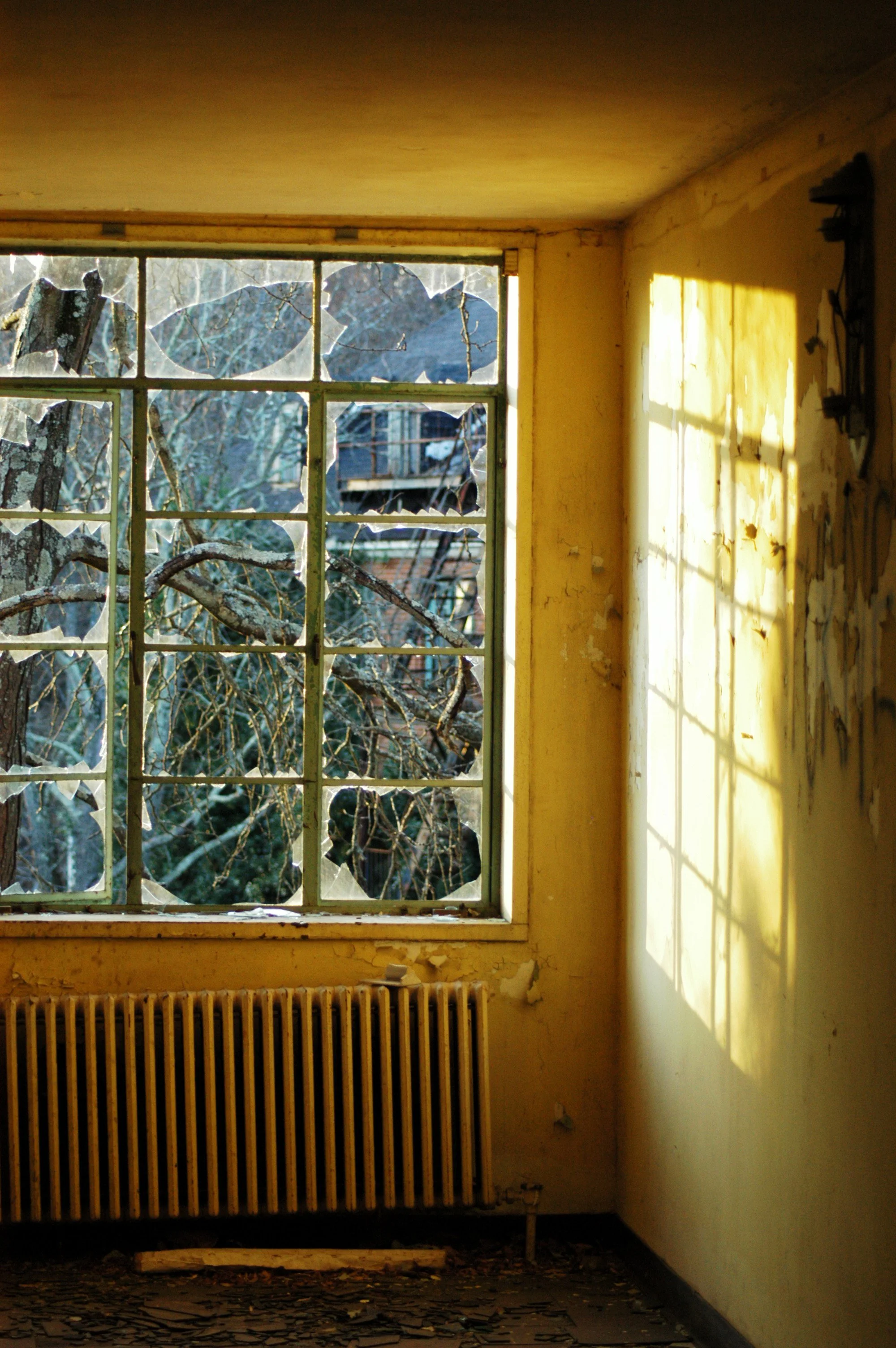 An abandoned room with a large broken window and yellow walls. Outside the window, there are leafless trees and a vehicle. The floor is covered with debris.