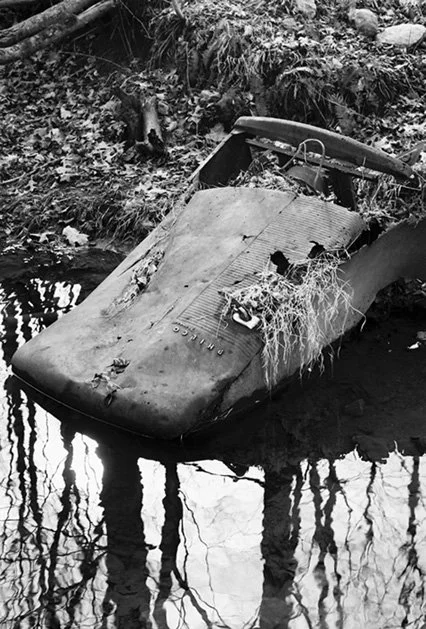 An abandoned, wrecked aircraft partly submerged in water with trees and foliage surrounding it.