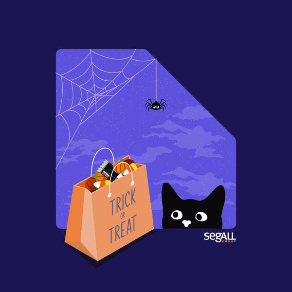 A black cat peeking from behind a bag of Halloween treats, with a spider hanging from a web in a dark night sky.