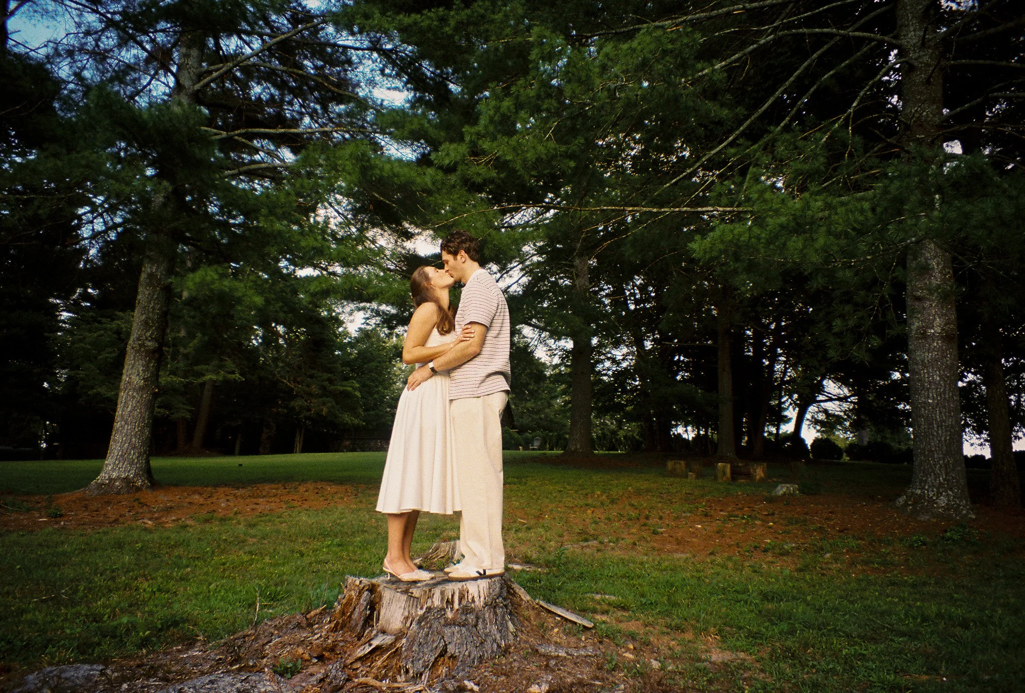 A couple kissing on a tree stump in a park surrounded by tall pine trees.