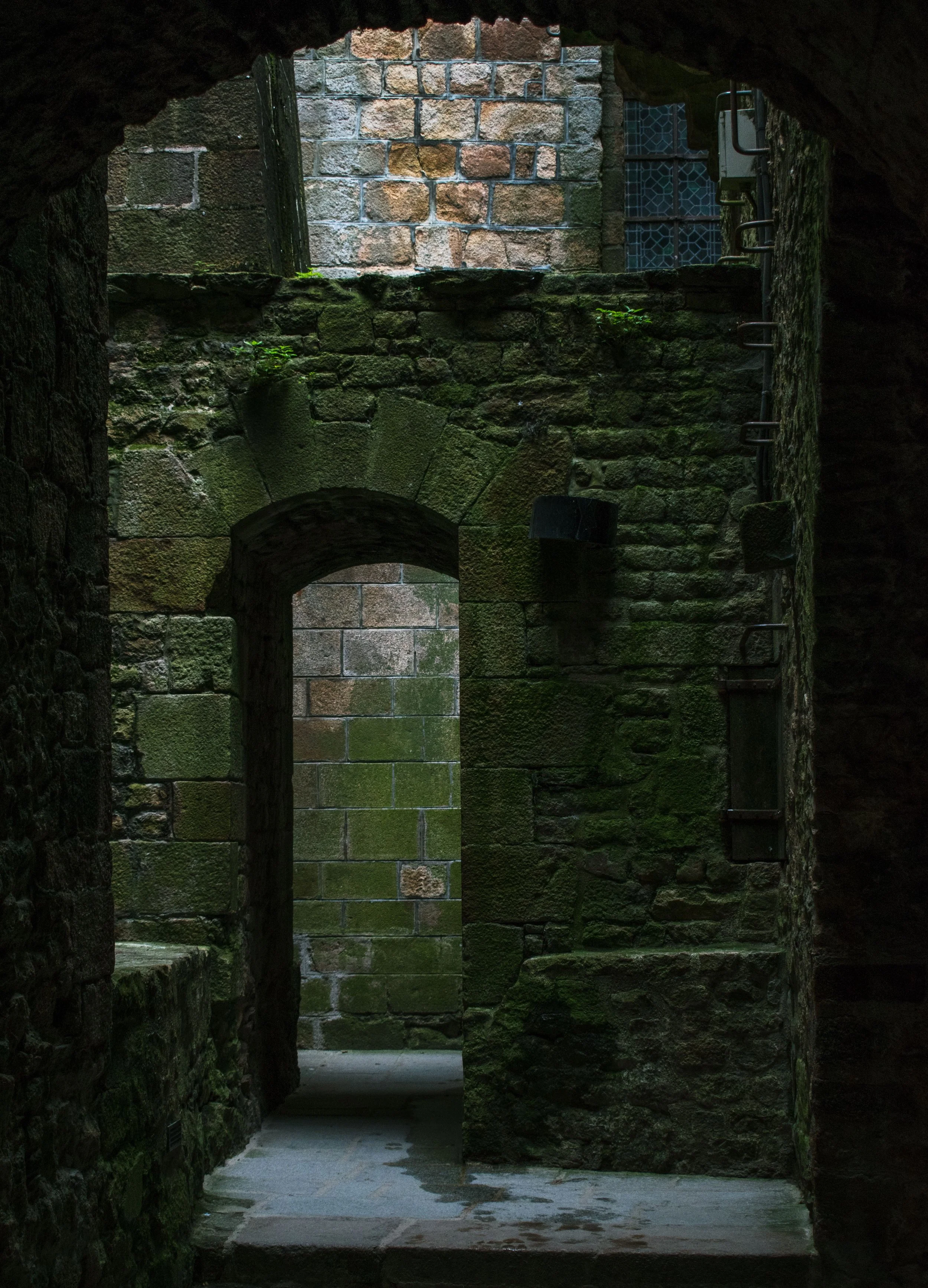 View through an arched stone doorway leading outdoors, with ancient brick and stone walls visible, moss and greenery growing on the stones, and a metal ladder or railing on the right side, suggesting an old historic site or castle interior.