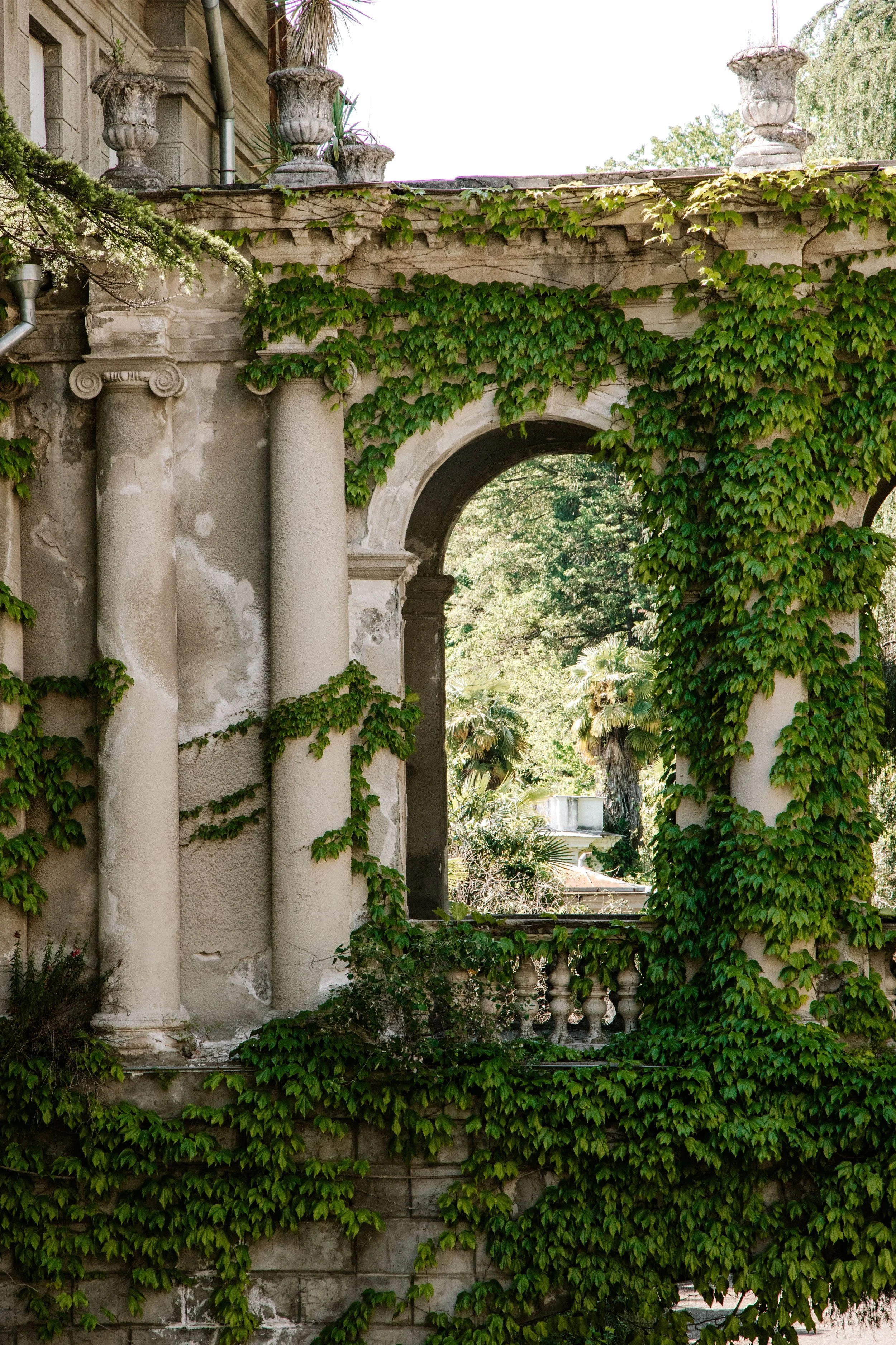 An old, stone building with architectural columns and arches, partly covered with green ivy and surrounded by lush trees.