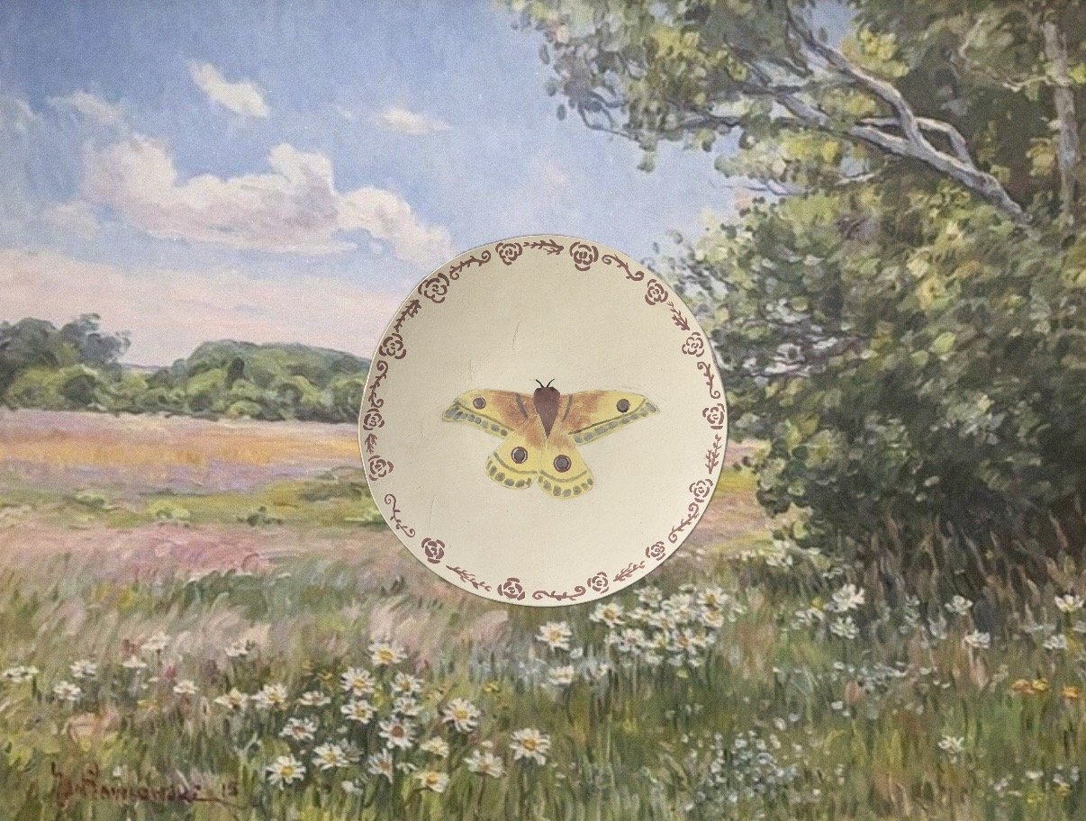butterfly