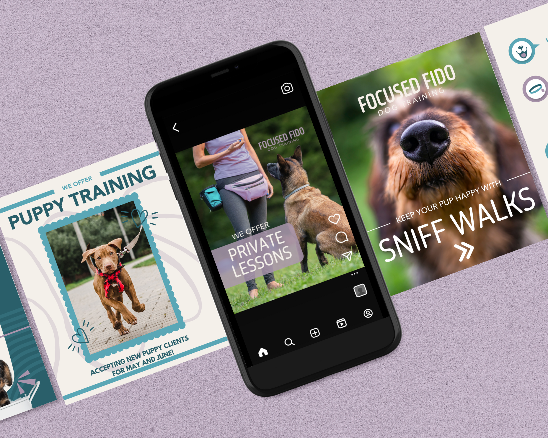 Focused Fido Social Media.png
