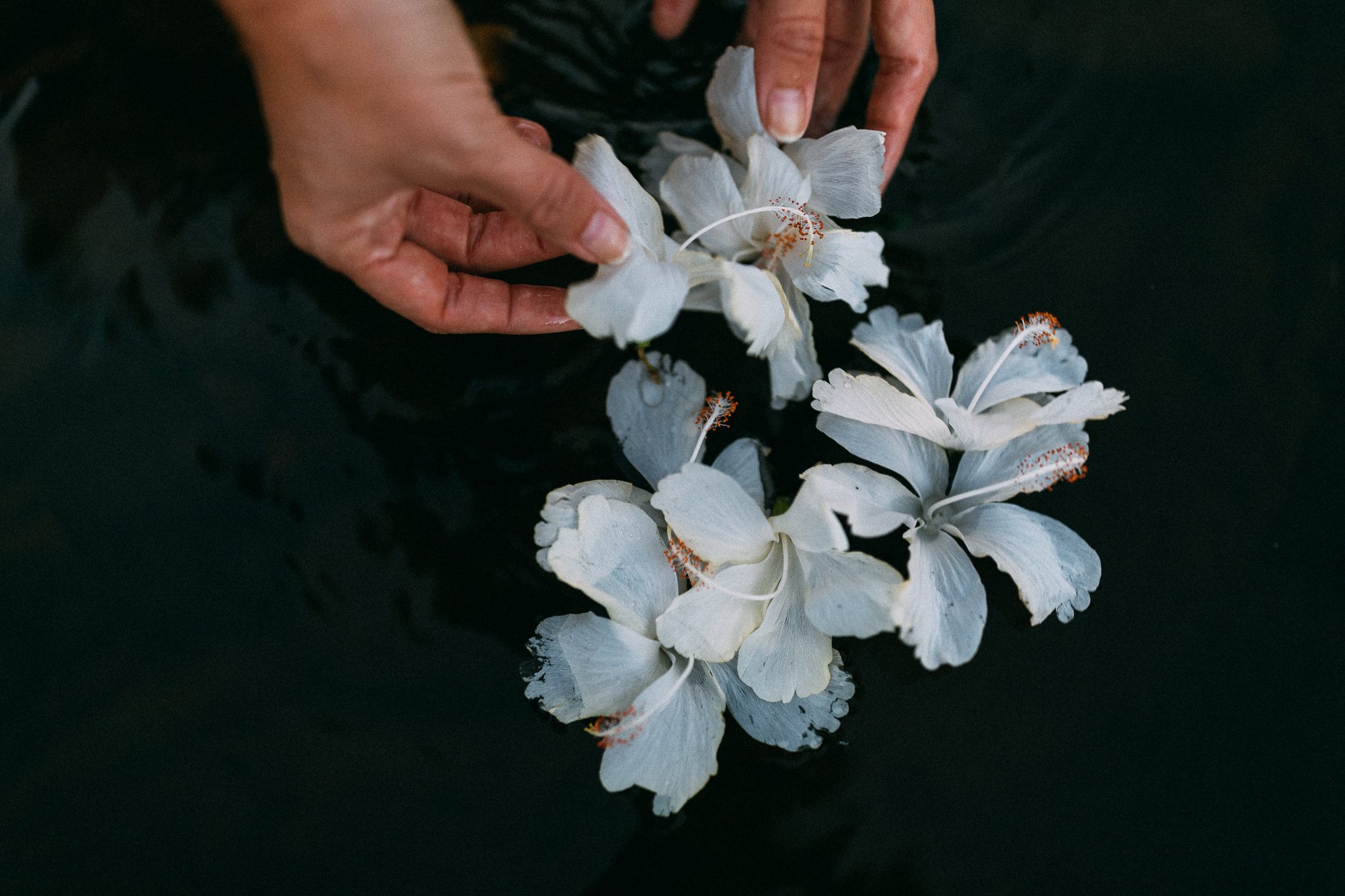 TahitiPhotoPortfolio-8.jpg