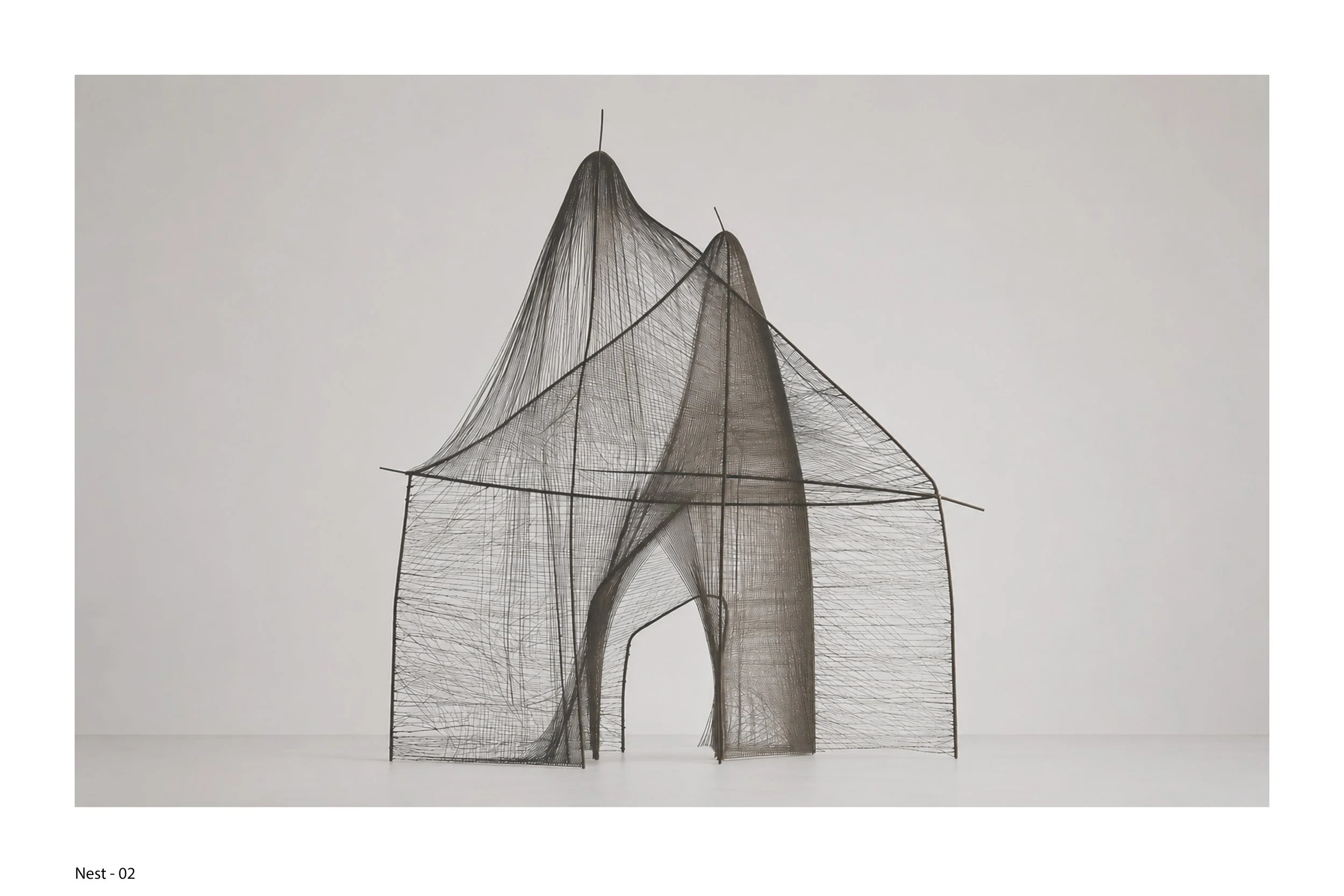 Nest - 02.jpg