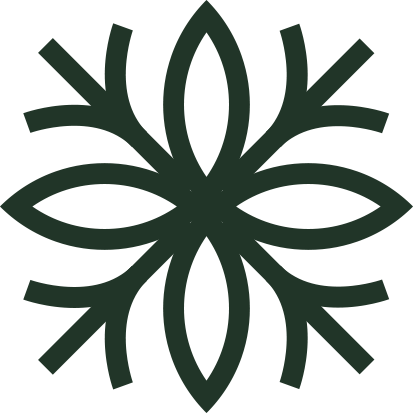 A decorative black snowflake design.