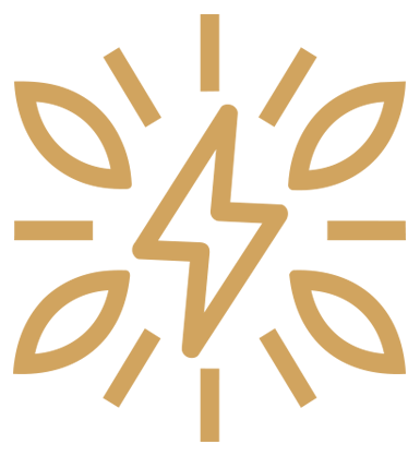 A stylized clock face with a lightning bolt as the clock hand, surrounded by decorative petal-like shapes.