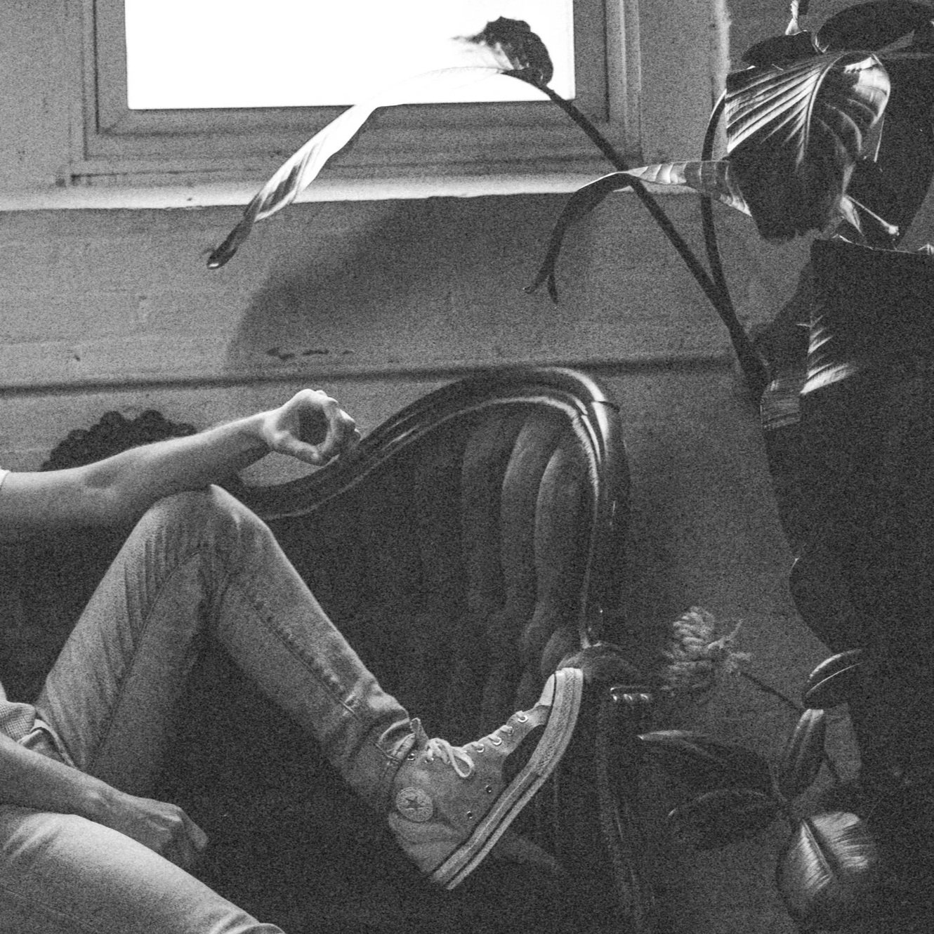 Black-and-white photo of a person sitting beside a large leafy houseplant, wearing jeans and canvas sneakers.