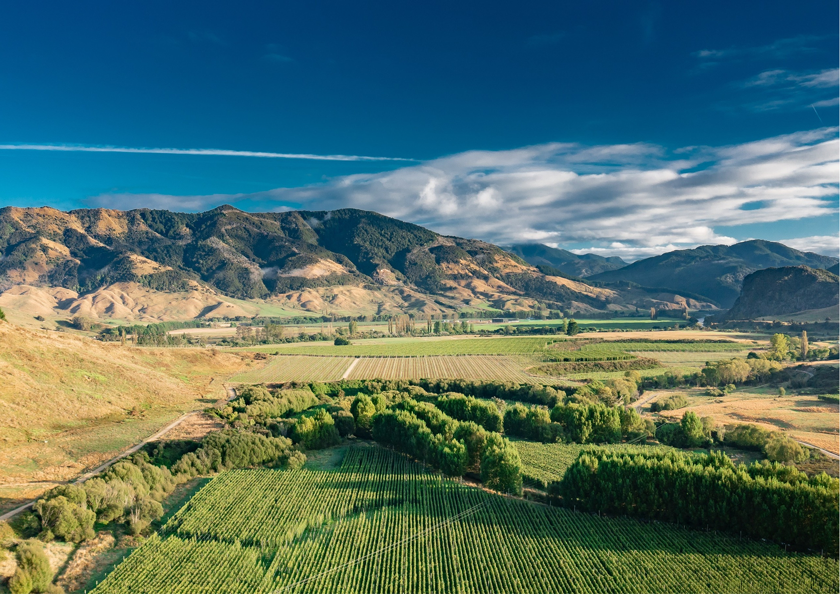 Scenic view of fertile farmland with a hops orchard and green fields, bordered by rolling hills and mountain ranges under a partly cloudy sky.