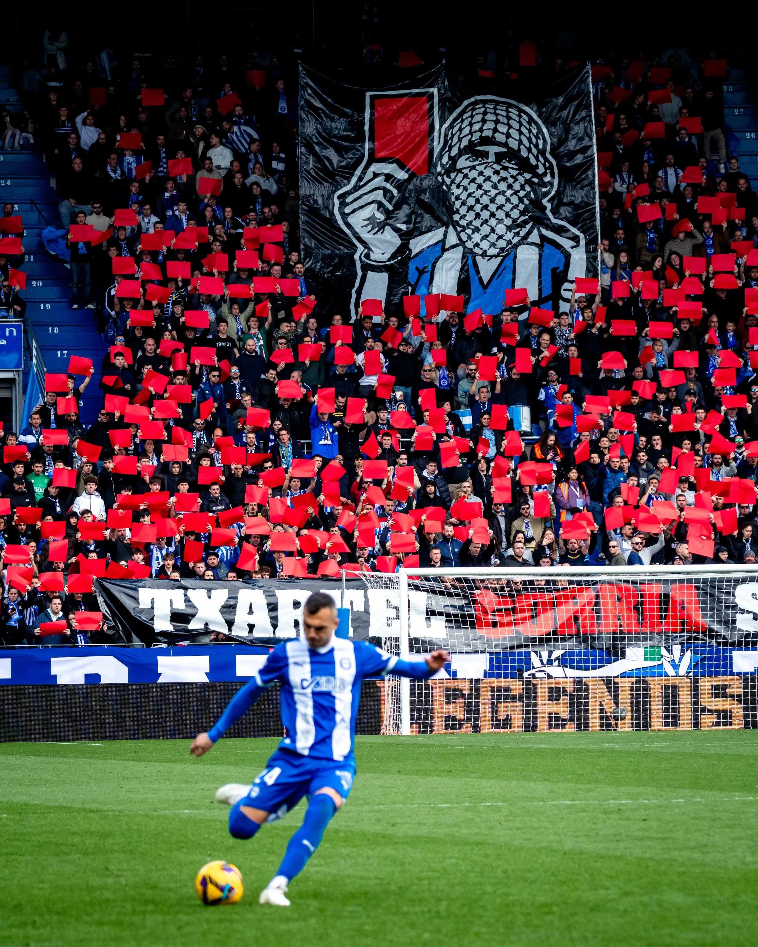 RLN_7900.jpg
