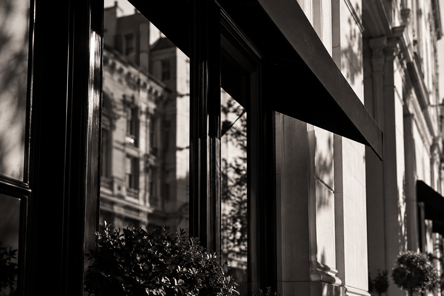 Monochrome Reflections Beneath the Awning.png