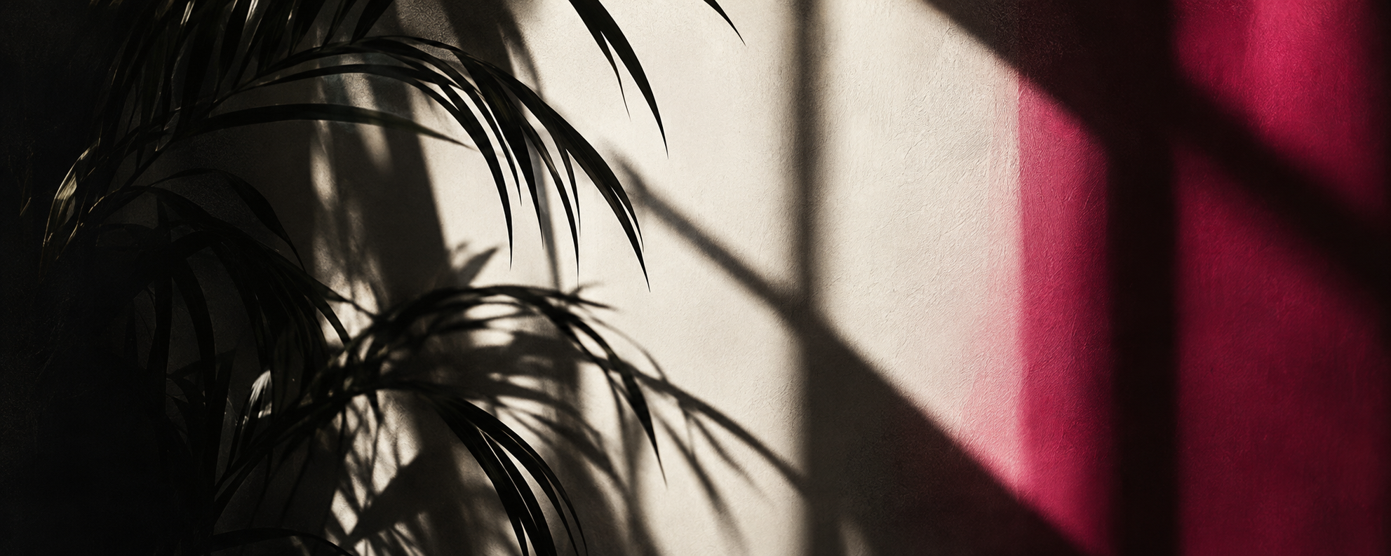 Moody palm shadows.