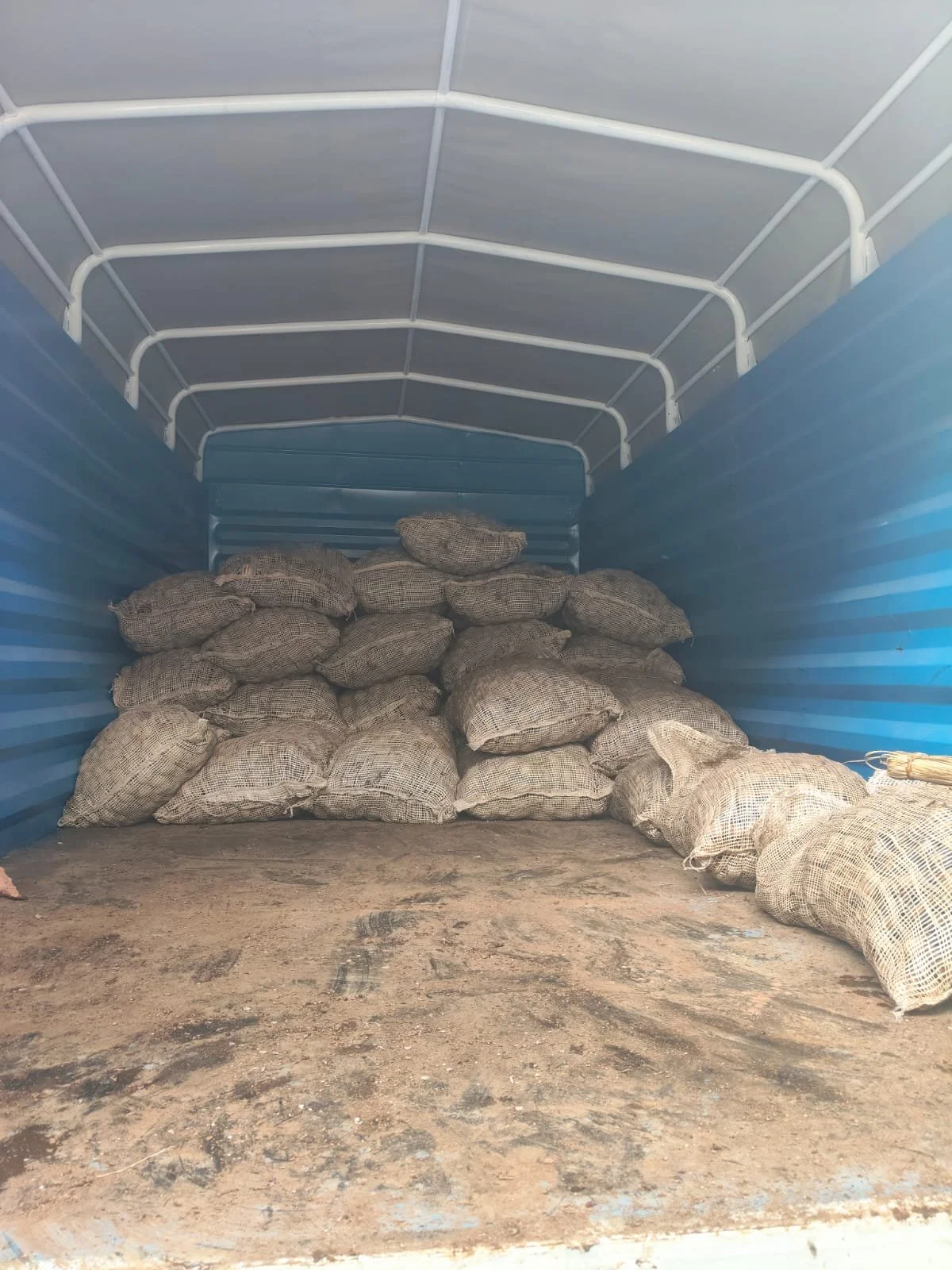 G-plex certified Shangi seed potato 50kg bags in Nakuru, Kenya