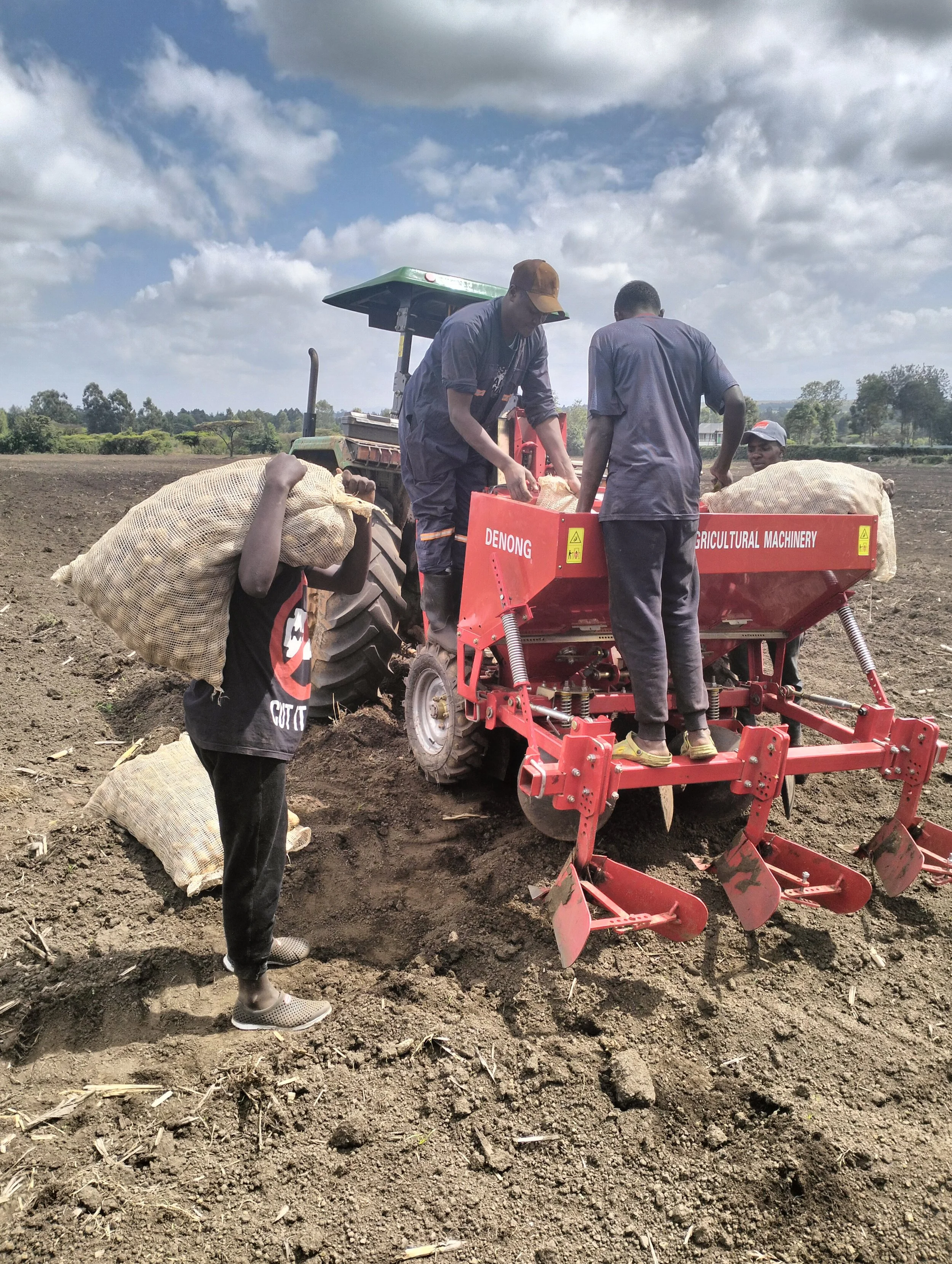 G-plex certified Shangi seed potato 50kg bags in Nakuru, Kenya
