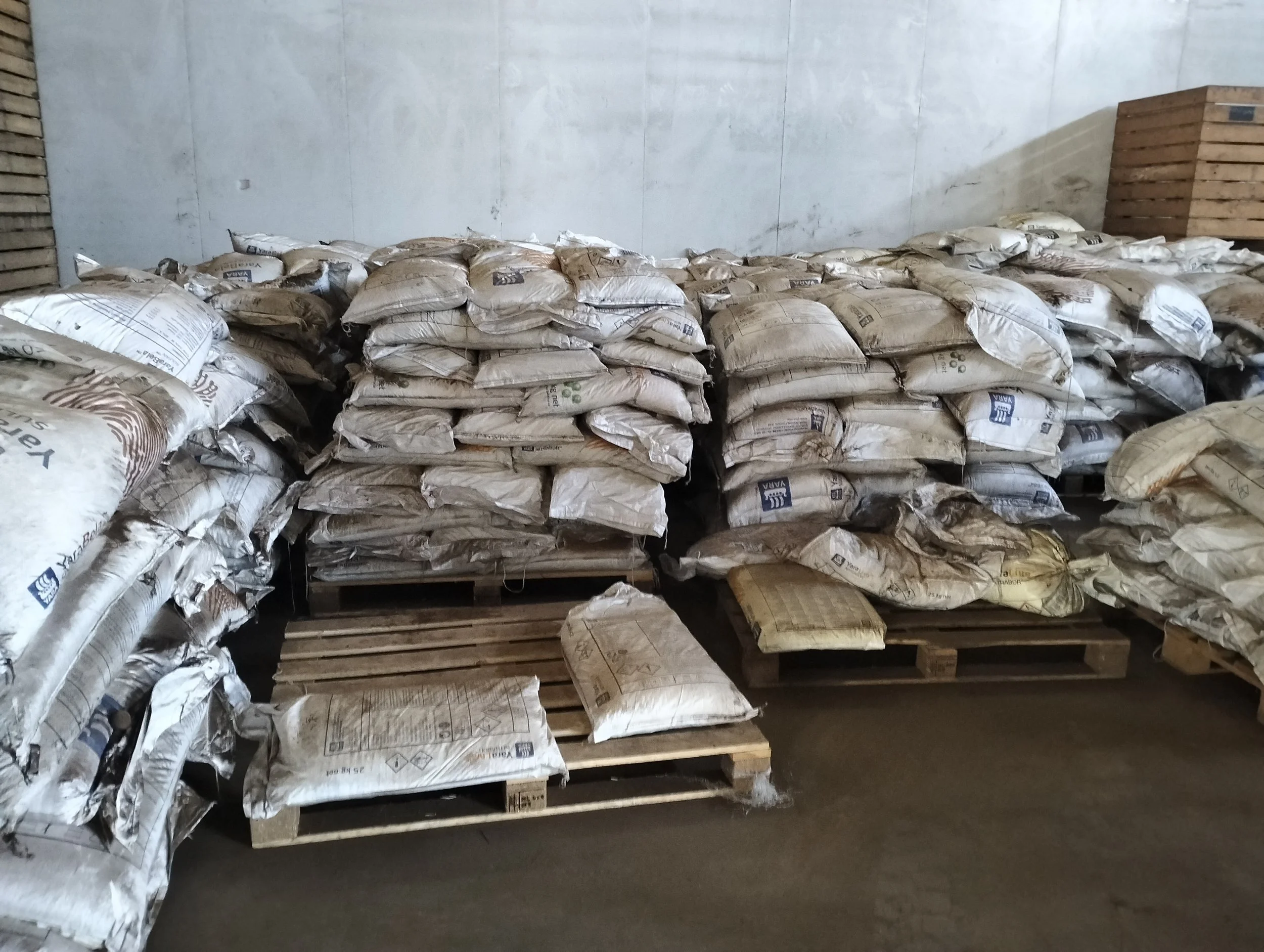 G-plex certified Shangi seed potato 50kg bags in Nakuru, Kenya