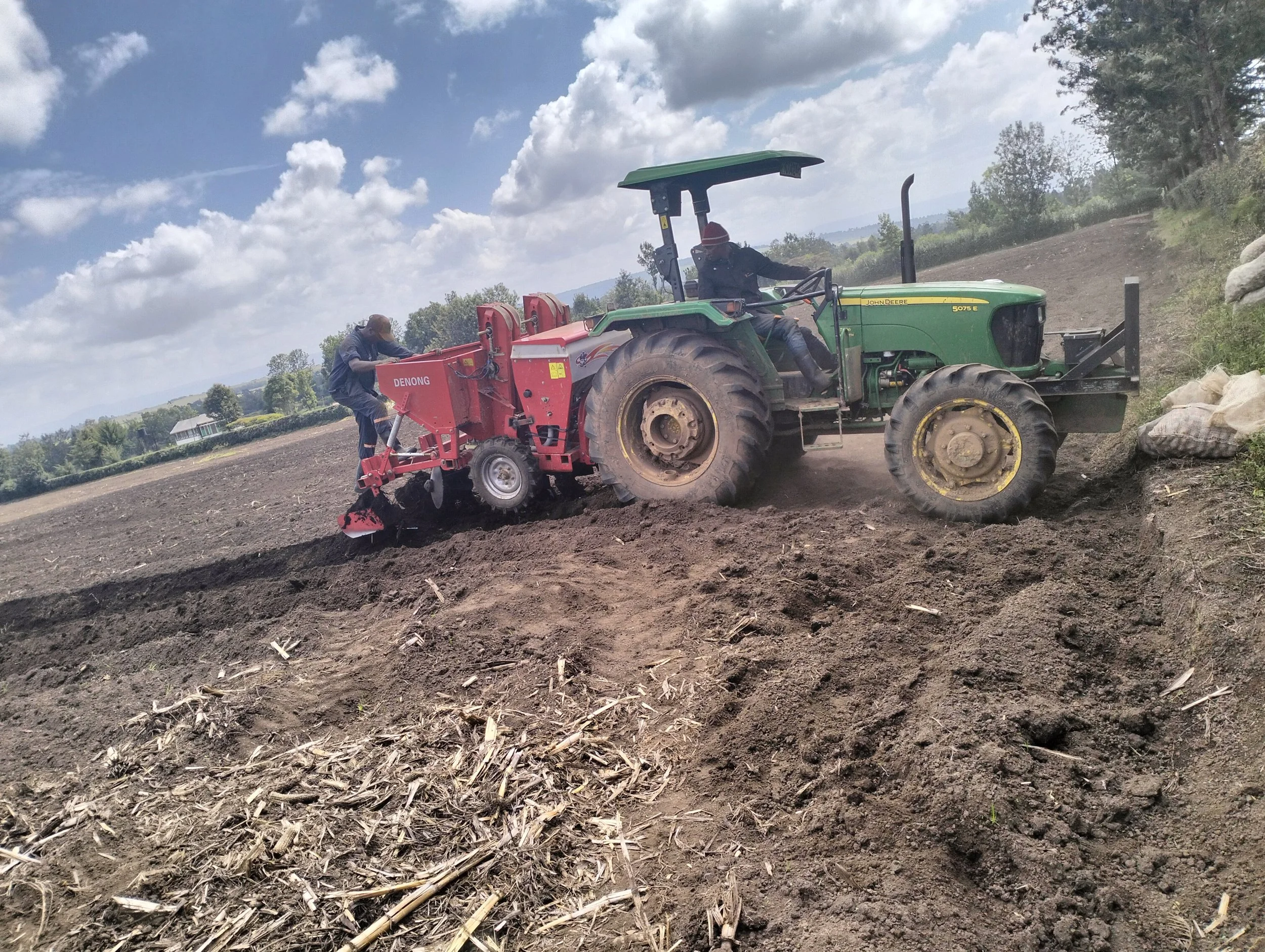 G-plex certified Shangi seed potato 50kg bags in Nakuru, Kenya