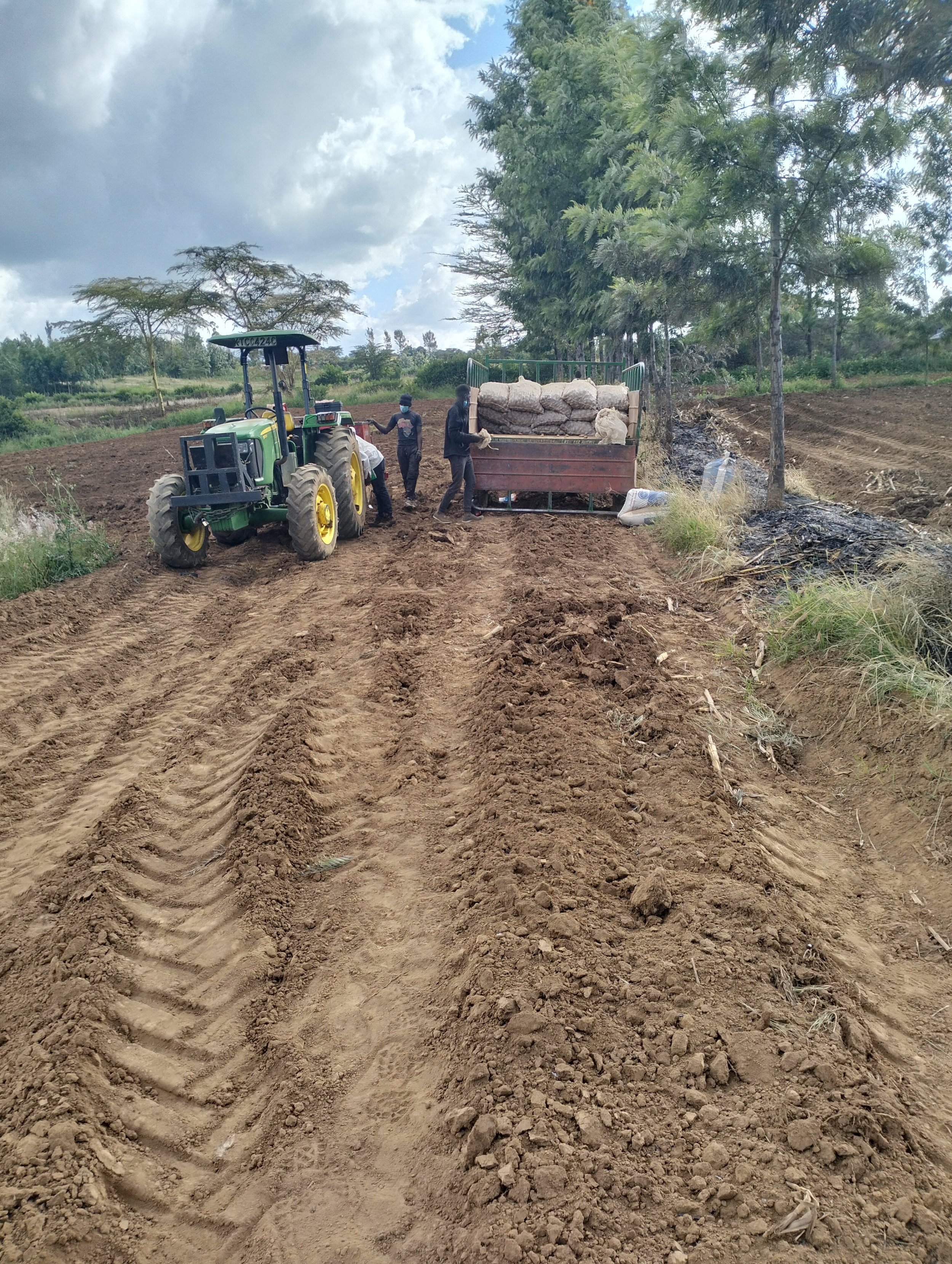 G-plex certified Shangi seed potato 50kg bags in Nakuru, Kenya