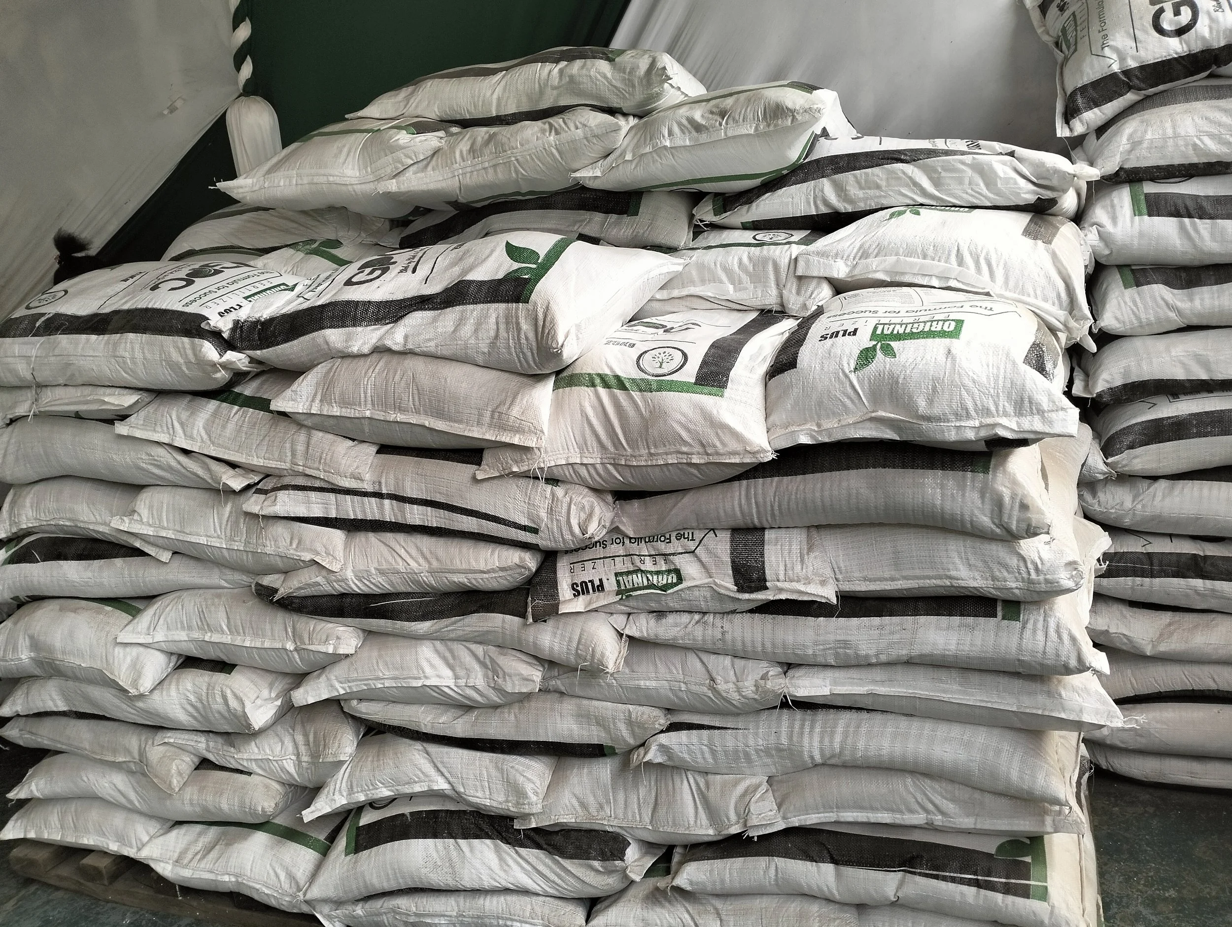 
G-plex certified Shangi seed potato 50kg bags in Nakuru, Kenya