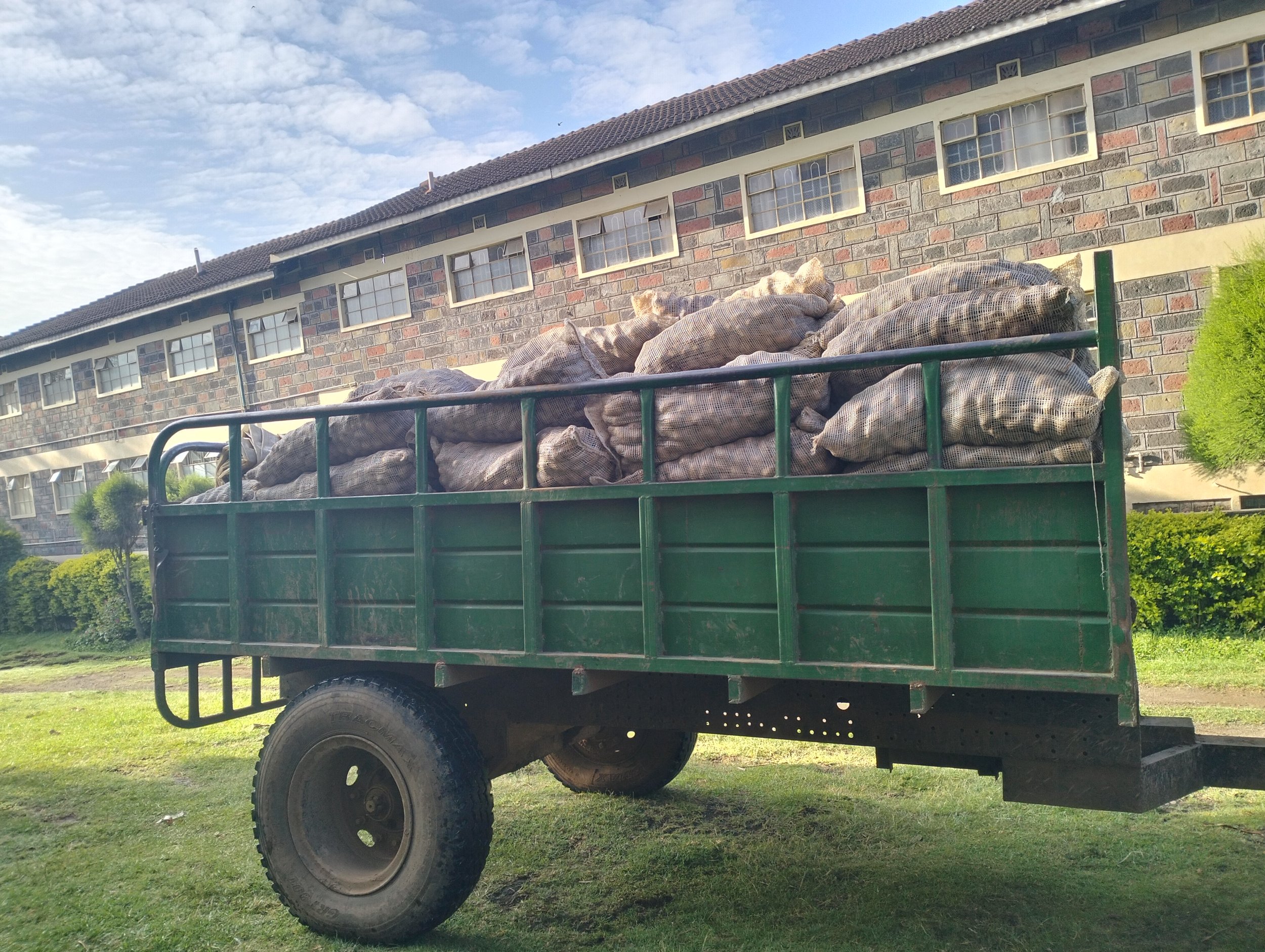 G-plex certified Shangi seed potato 50kg bags in Nakuru, Kenya
