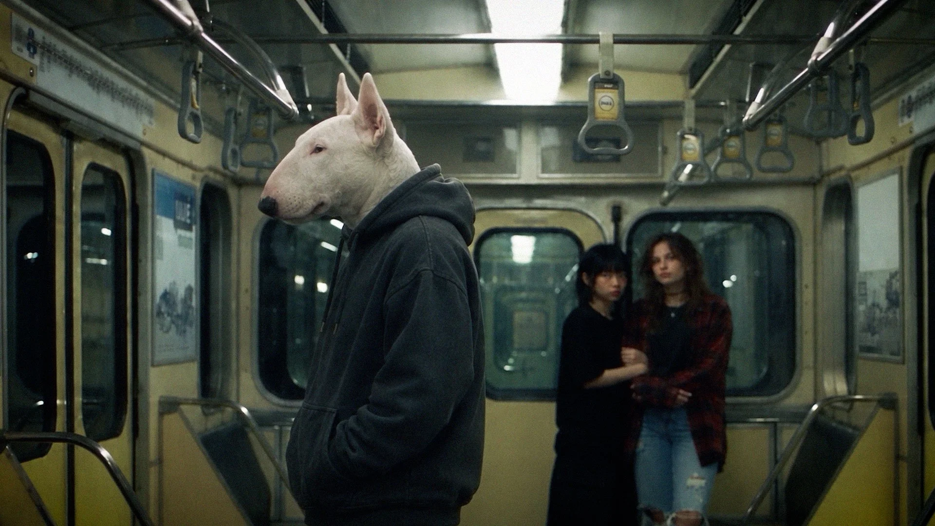 Bullterrier_man.00_00_08_17.jpg
