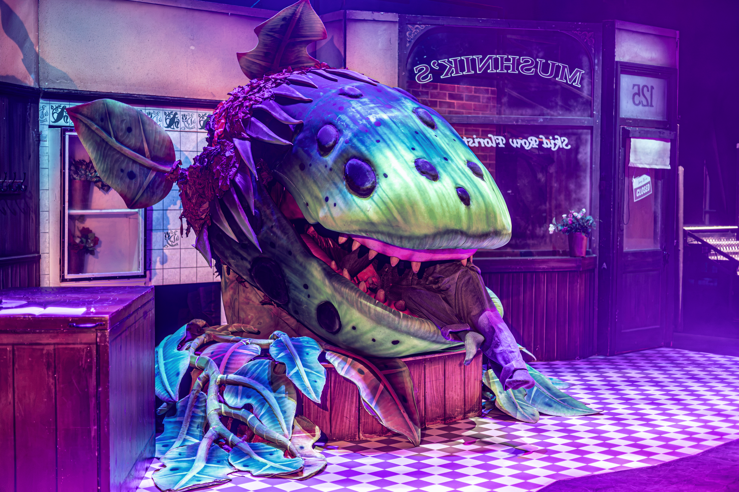 Colorful fish costume with large head and fins in a themed indoor setting with a sign reading 'MUSHIK'S' in the background.