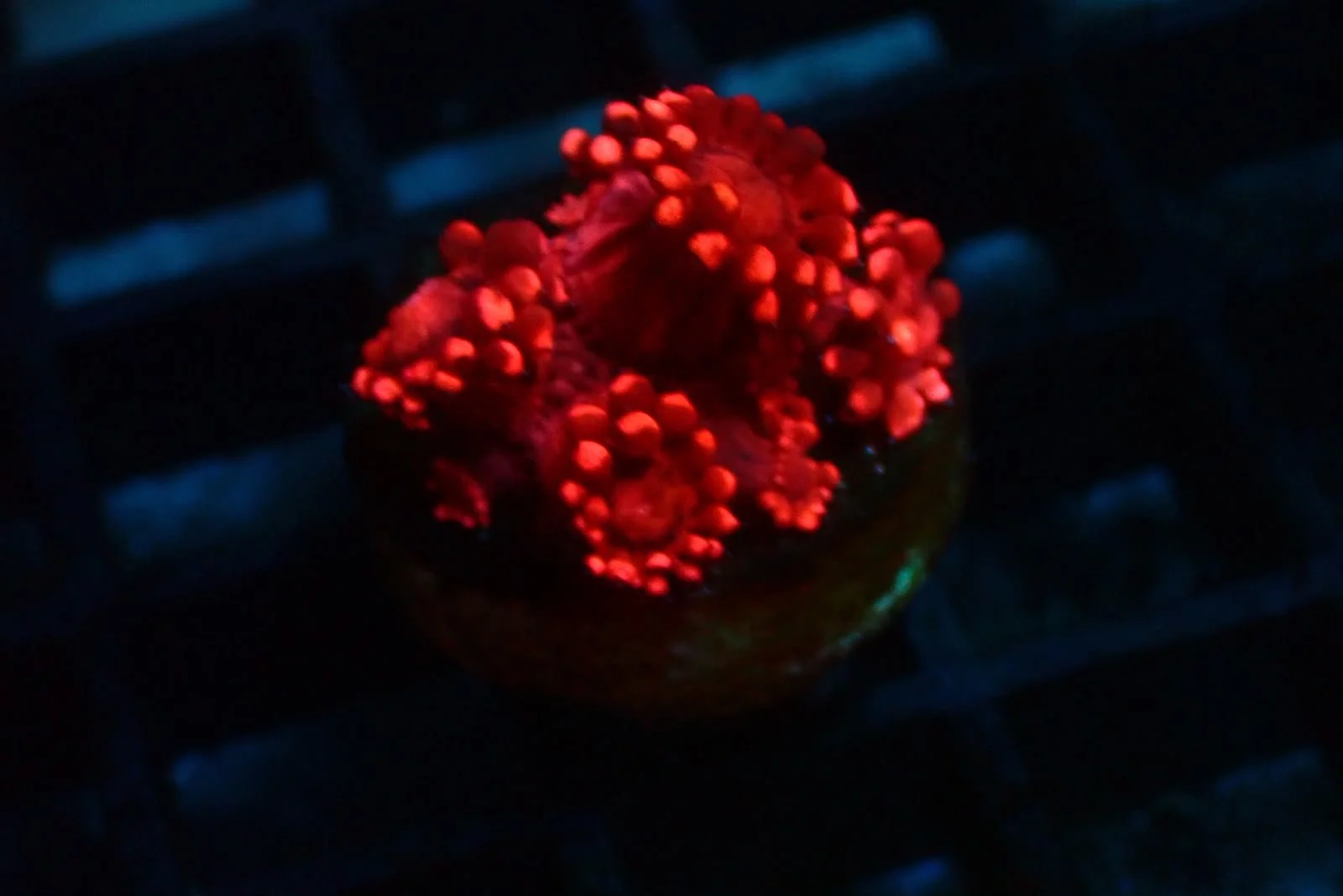 a028ff78-875f-46c4-89d7-6831f8963f50.jpeg