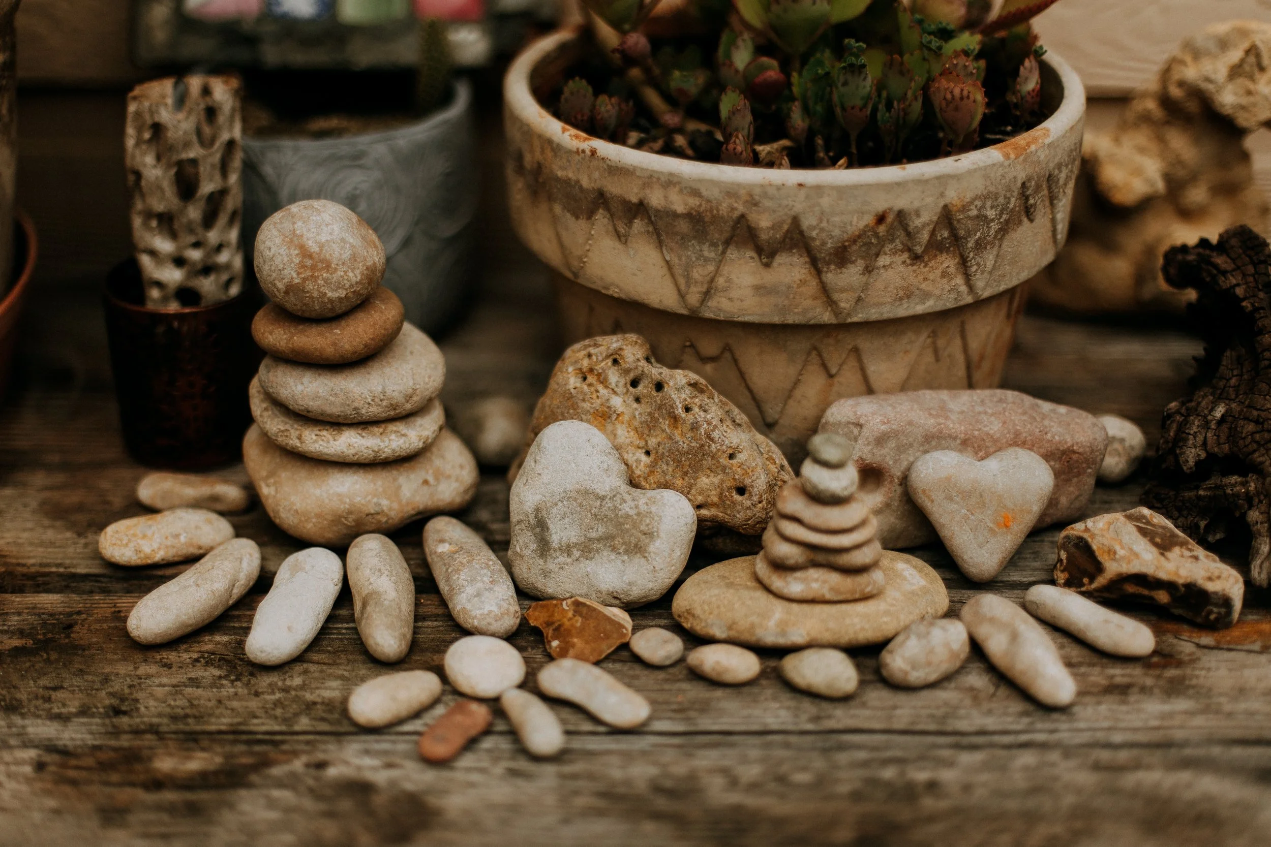 IMG_0682-2.jpg