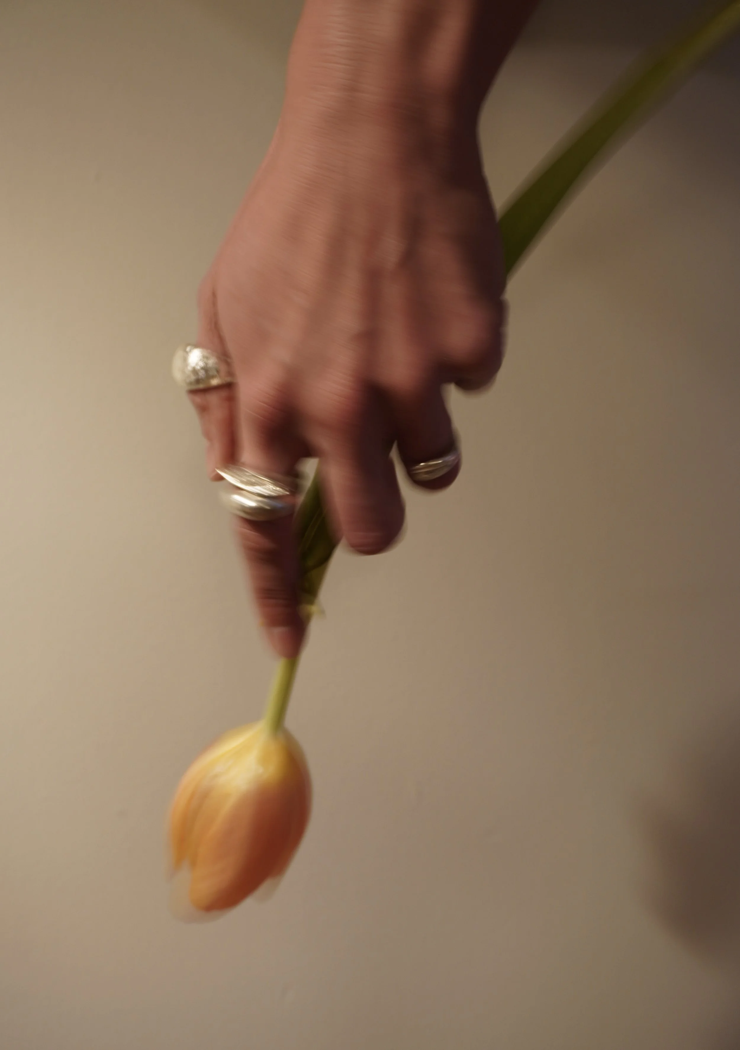3B05199B-4F72-44A3-90F0-8378F199D78B_1_201_a.jpeg