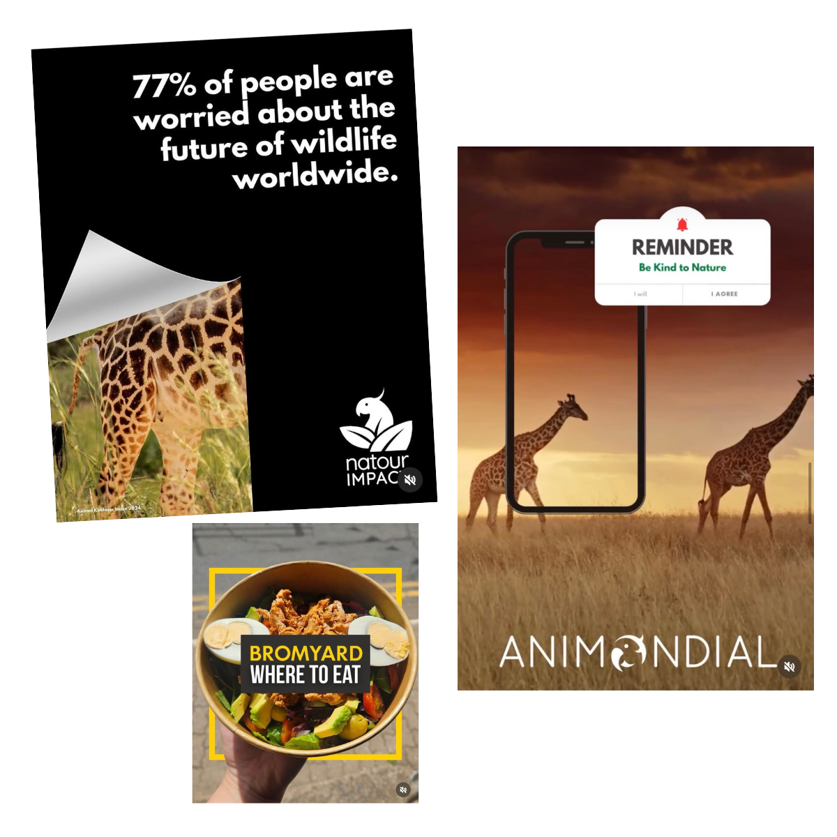 A collage of four images. The top left shows a black background with white text about 77% of people being worried about wildlife's future. The top right features a mobile phone with a sunset background and a reminder message to be kind to nature with giraffes in the background. The bottom left displays a bowl of food with a label 'Bromyard Where to Eat.' The bottom right has the logo for Animal Impact and a giraffe.