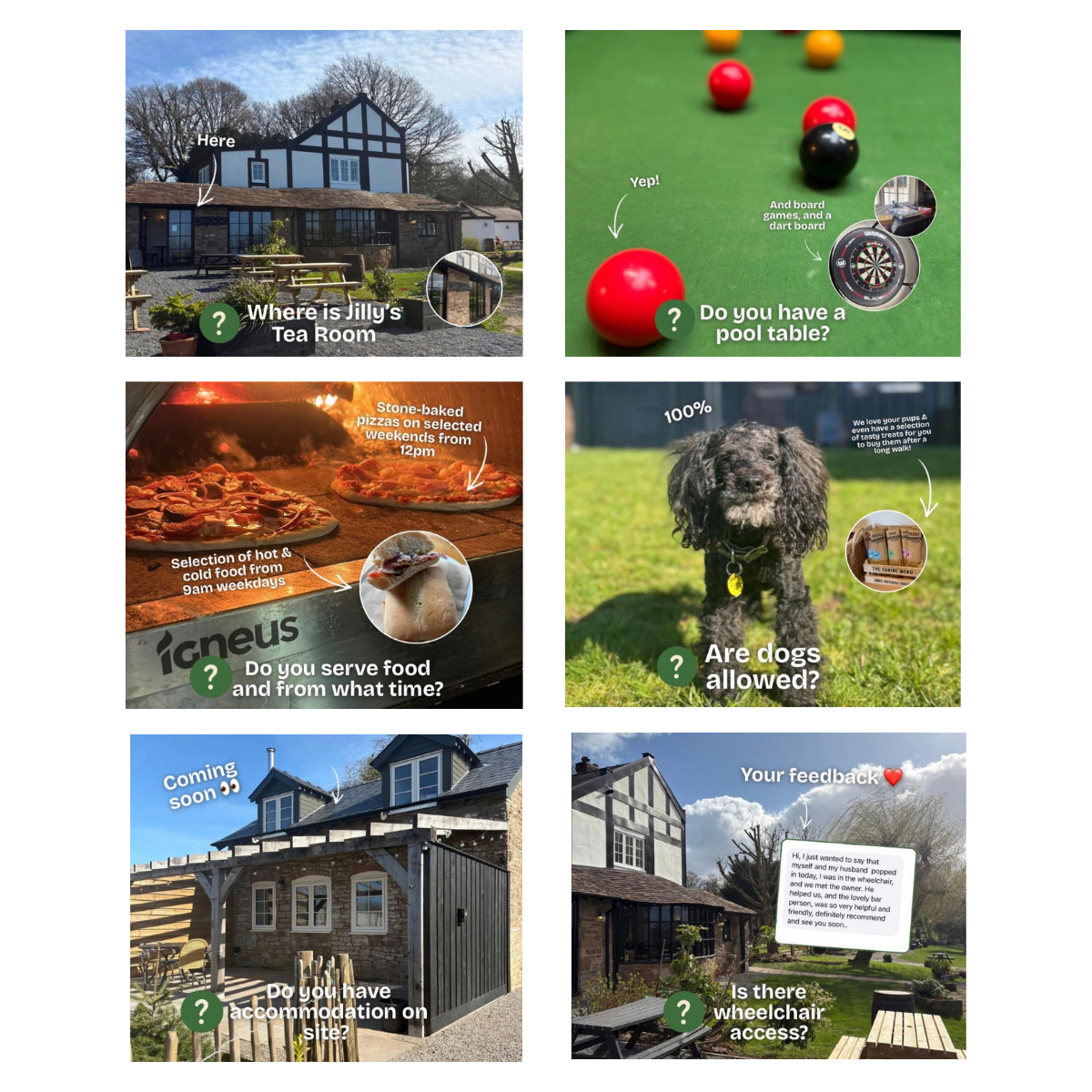 Collage of six images with questions about a property and surrounding amenities. The first shows a building with a sign pointing to a tea room. The second features a pool table with questions about pool tables. The third displays pizzas baking with questions about food service times. The fourth shows a dog outside with questions about dogs and accessibility. The fifth depicts a building with a sign 'Coming Soon' and questions about accommodation. The sixth shows an outdoor area with seating and a sign asking about wheelchair access.