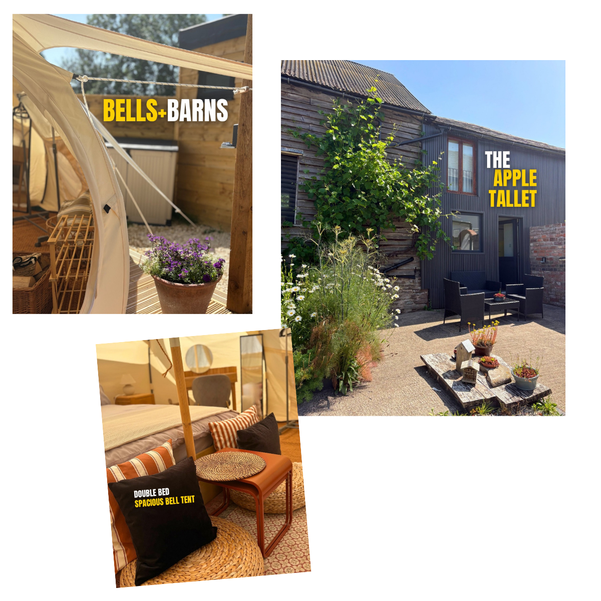 Collage of two houses and indoor scenes. The first scene shows a tent with a flowerpot in a rustic outdoor setting, labeled "BELLS+BARNS." The second house has a dark exterior, a patio with outdoor chairs, and garden plants, labeled "THE APPLE TALLE". The third indoor scene features a double bed, pillows, and cozy furniture with a sign "DOUBLE BED SPACIOUS BELL TENT."