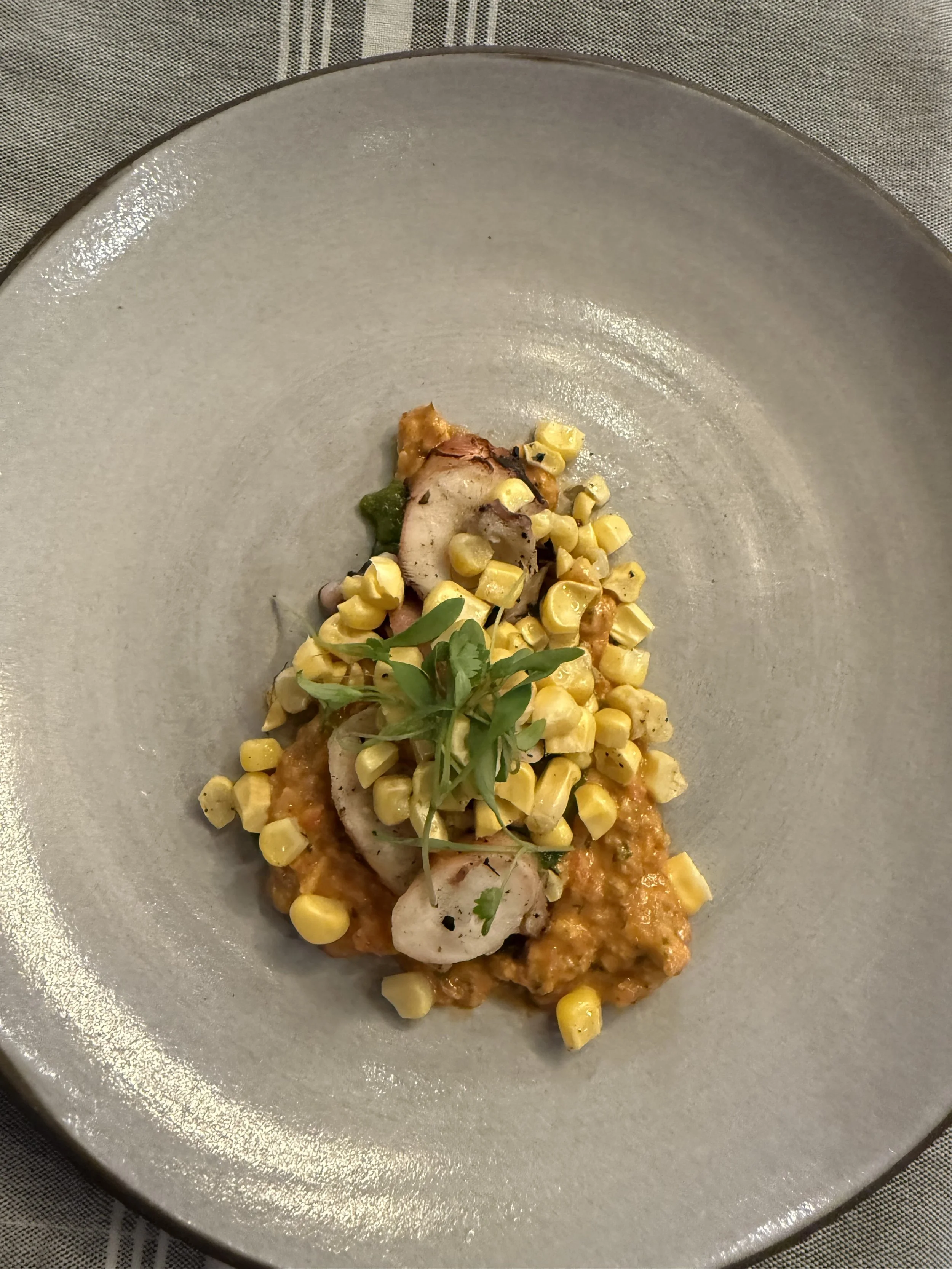Plated entrée with sliced chicken, corn, vegetables, sauce, and fresh herbs on a ceramic plate