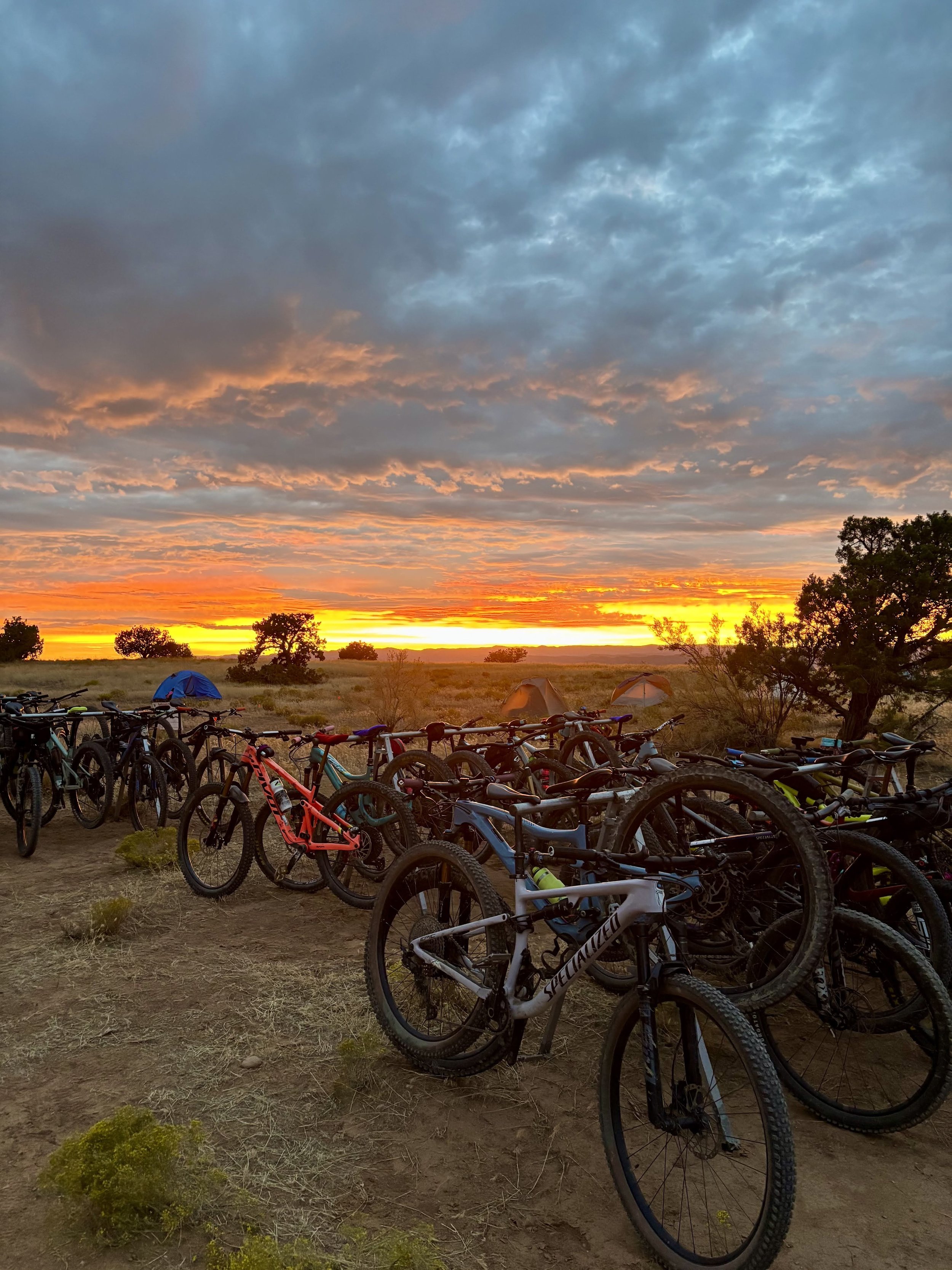 Numerous bicycles parked on dirt ground with trees and tents in the background during sunset, in camp with Bikerpelli, with a sunset overhead.