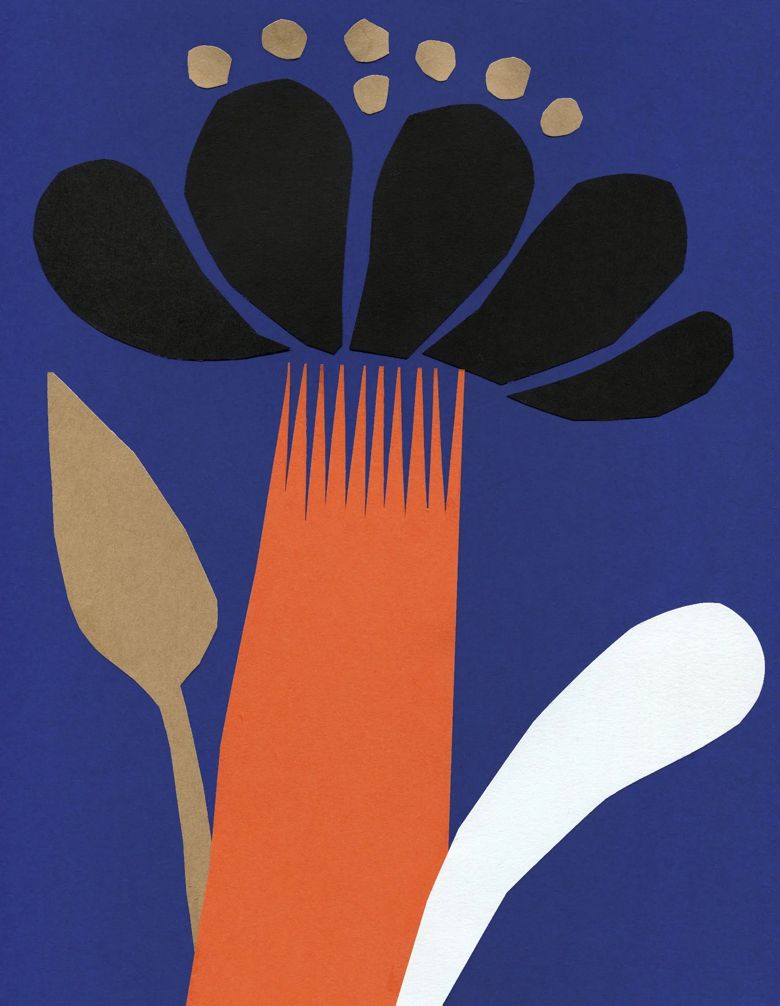 FLORA 5.jpg